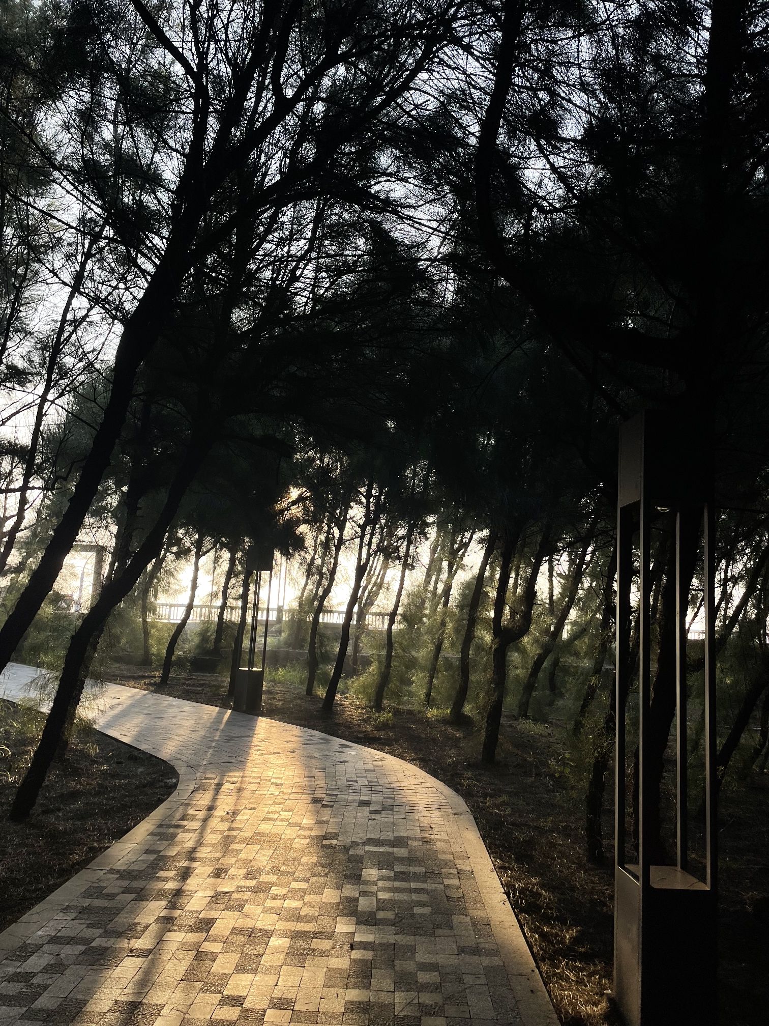 东山岛旅行图片 2