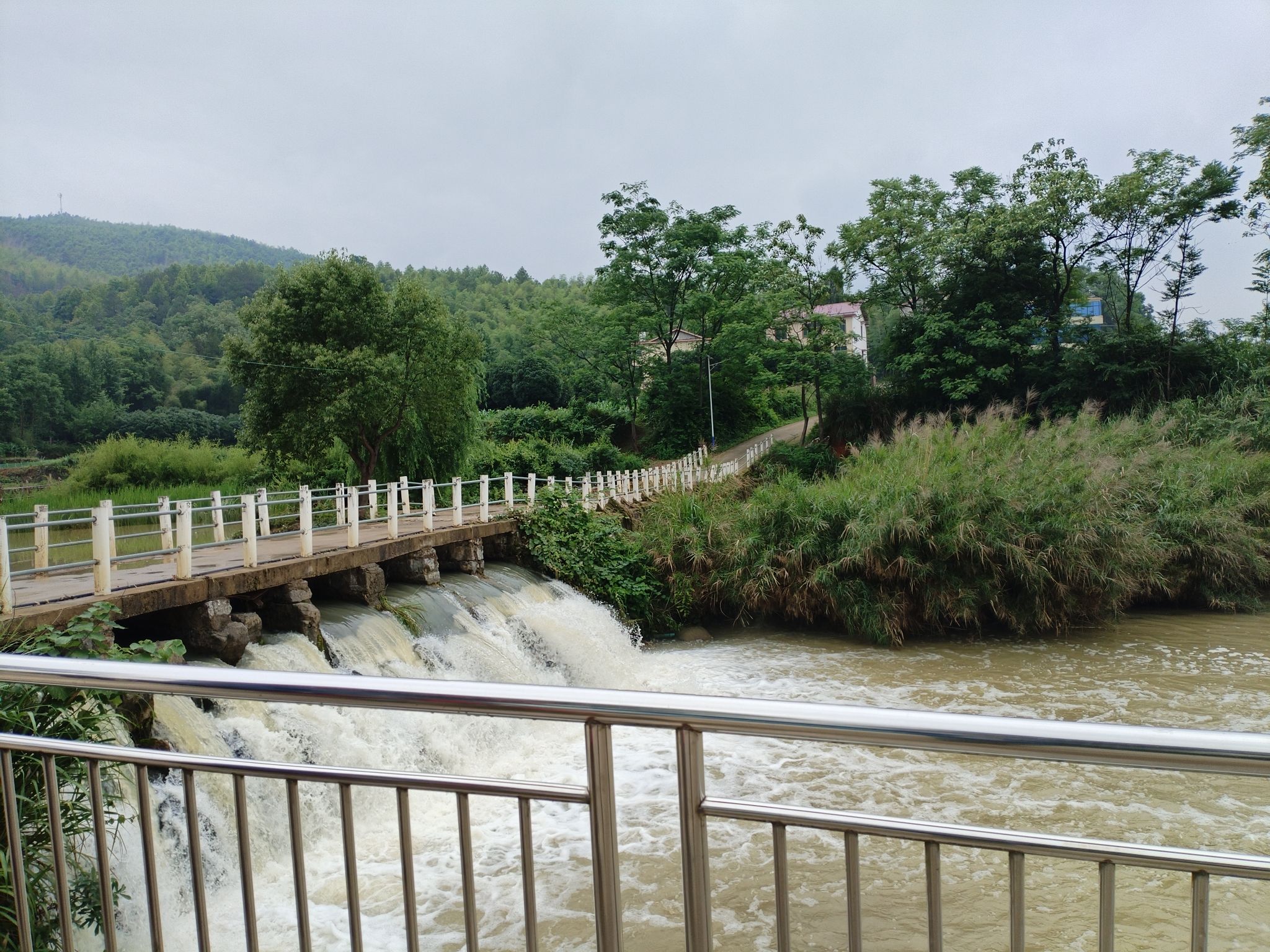 湖南邵阳天子湖国家湿地公园旅行图片 2