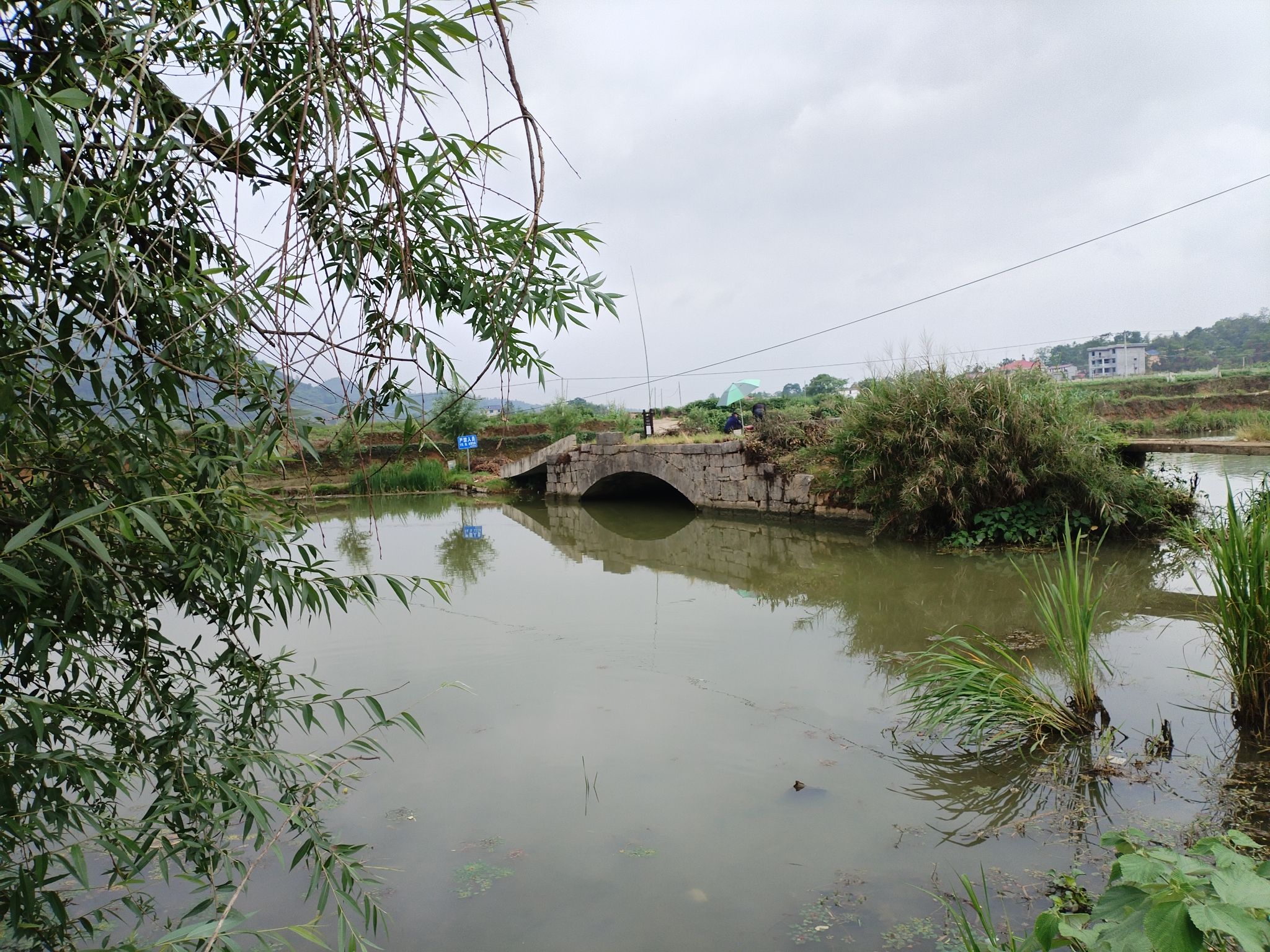 湖南邵阳天子湖国家湿地公园旅行图片 1