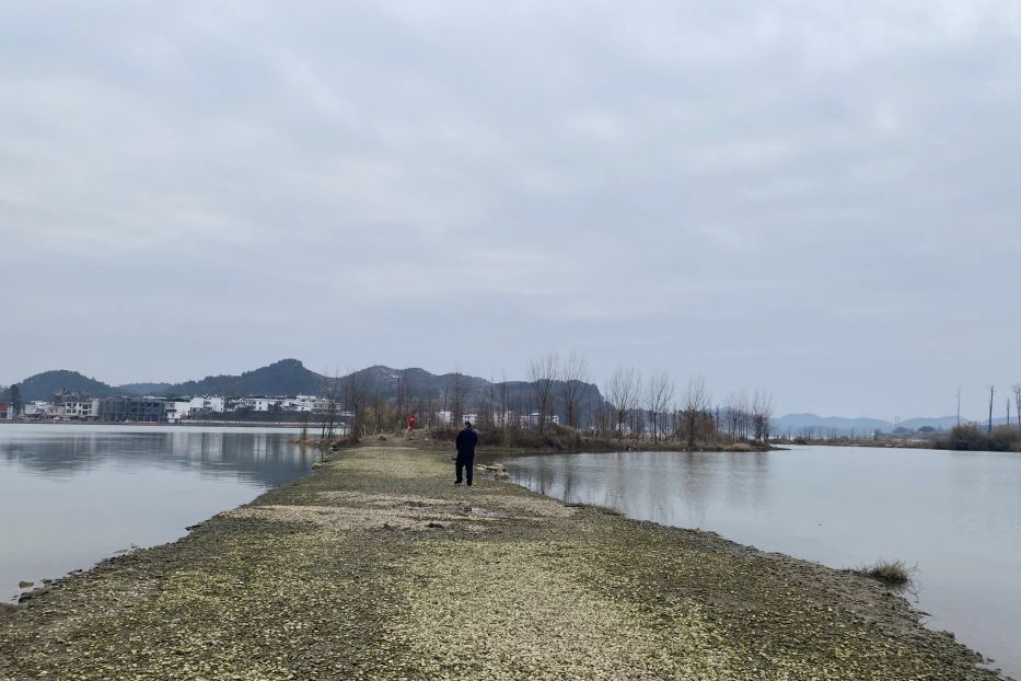 湖南邵阳天子湖国家湿地公园旅行图片 3