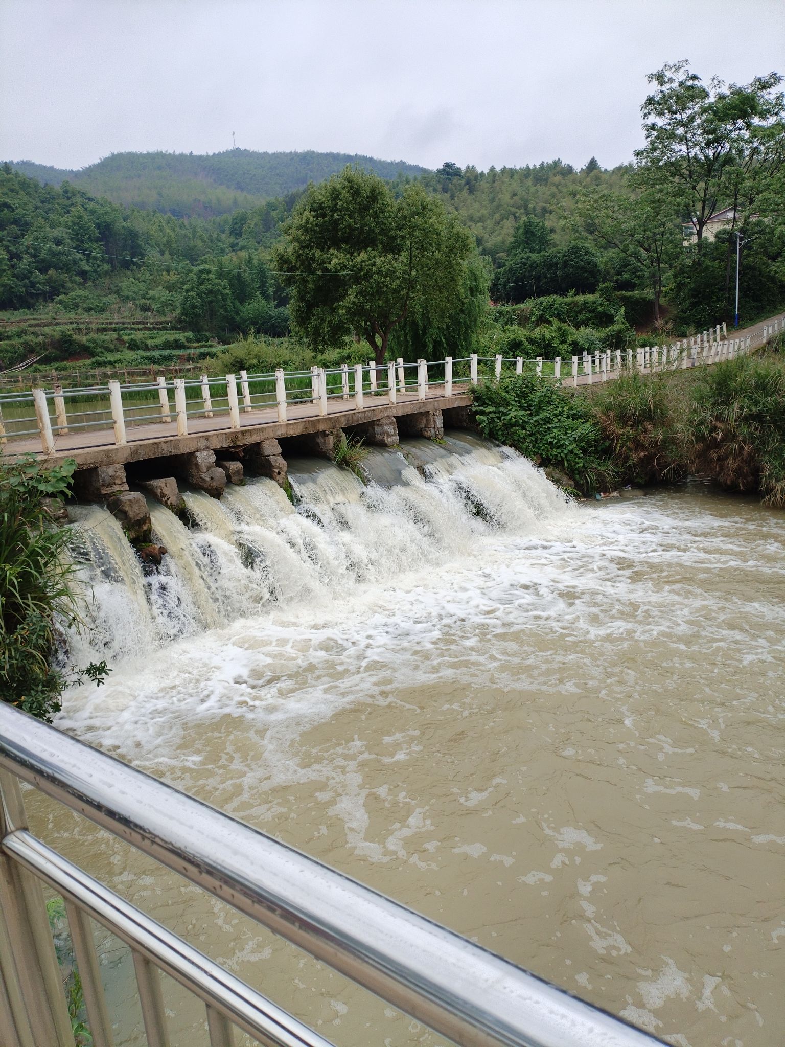湖南邵阳天子湖国家湿地公园旅行图片 1