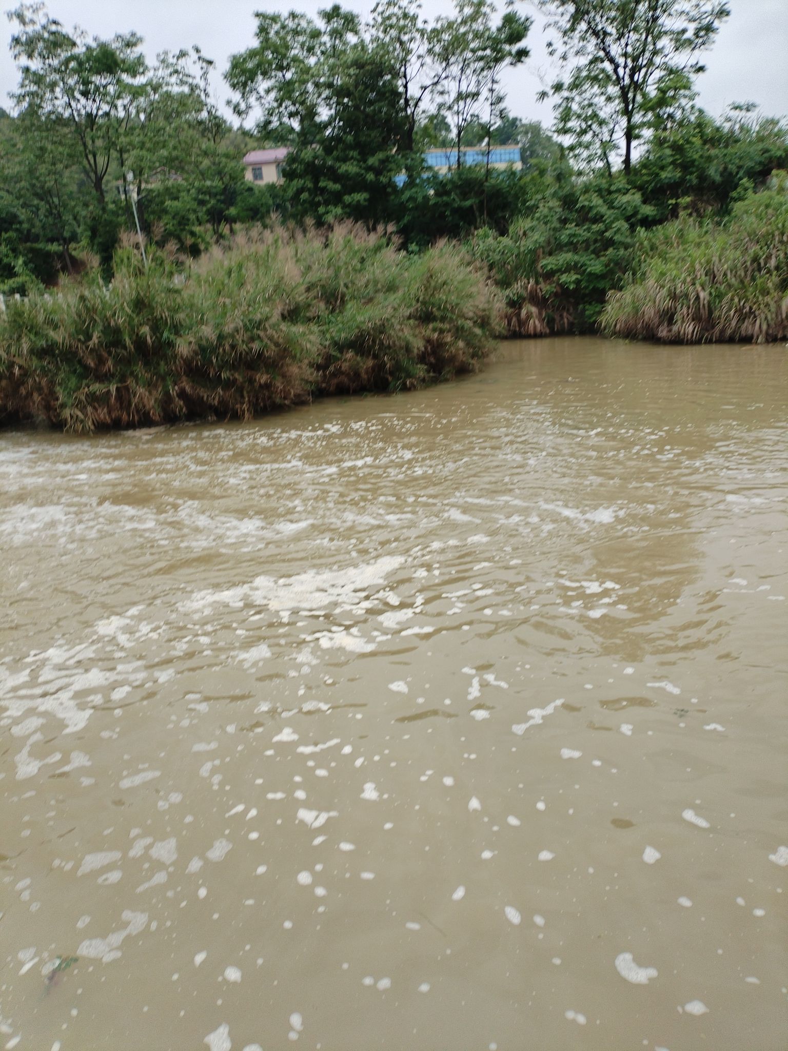 湖南邵阳天子湖国家湿地公园旅行图片 3