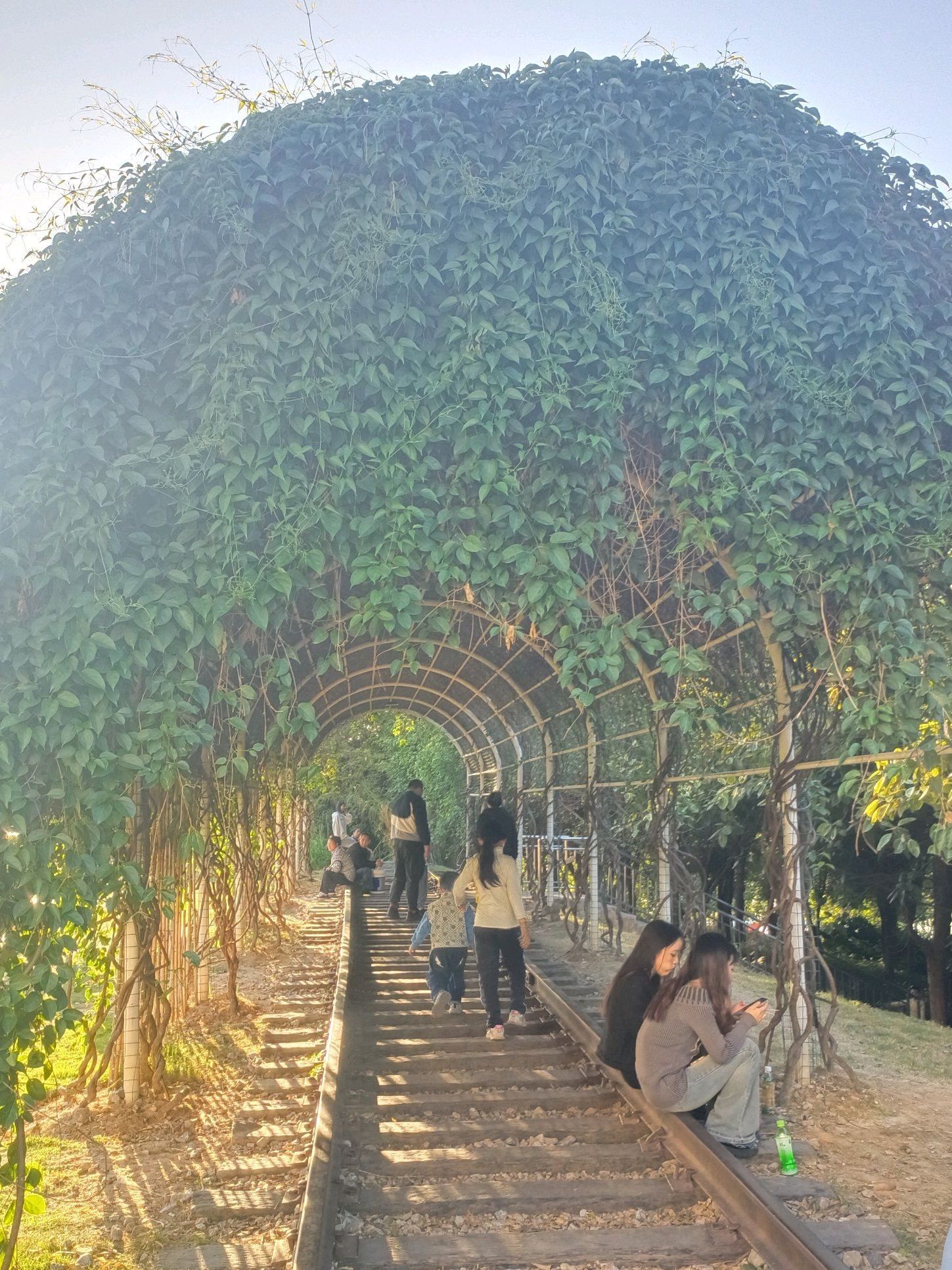 南宁市江南公园旅行图片 1