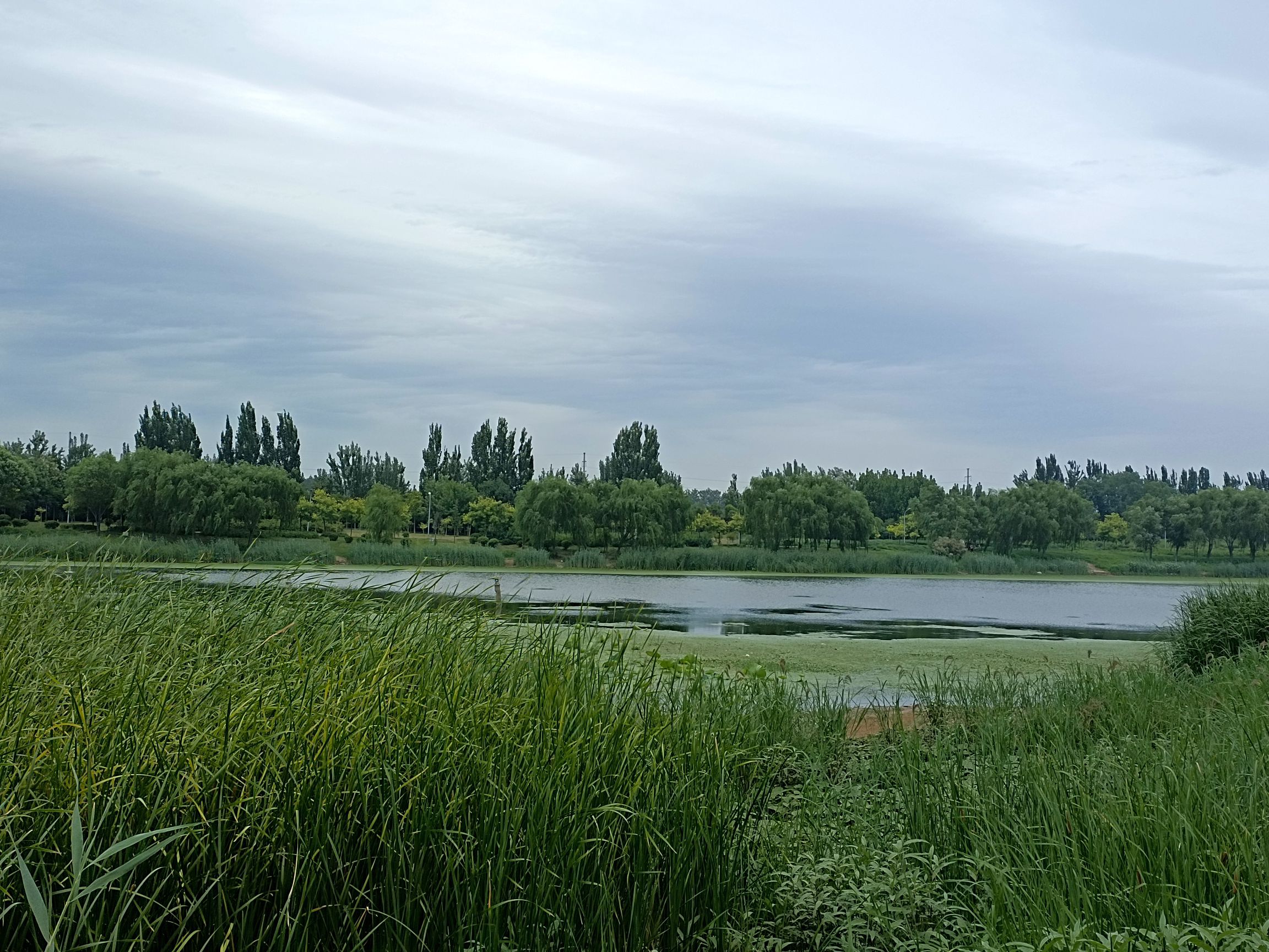 月爱湖公园旅行图片 1