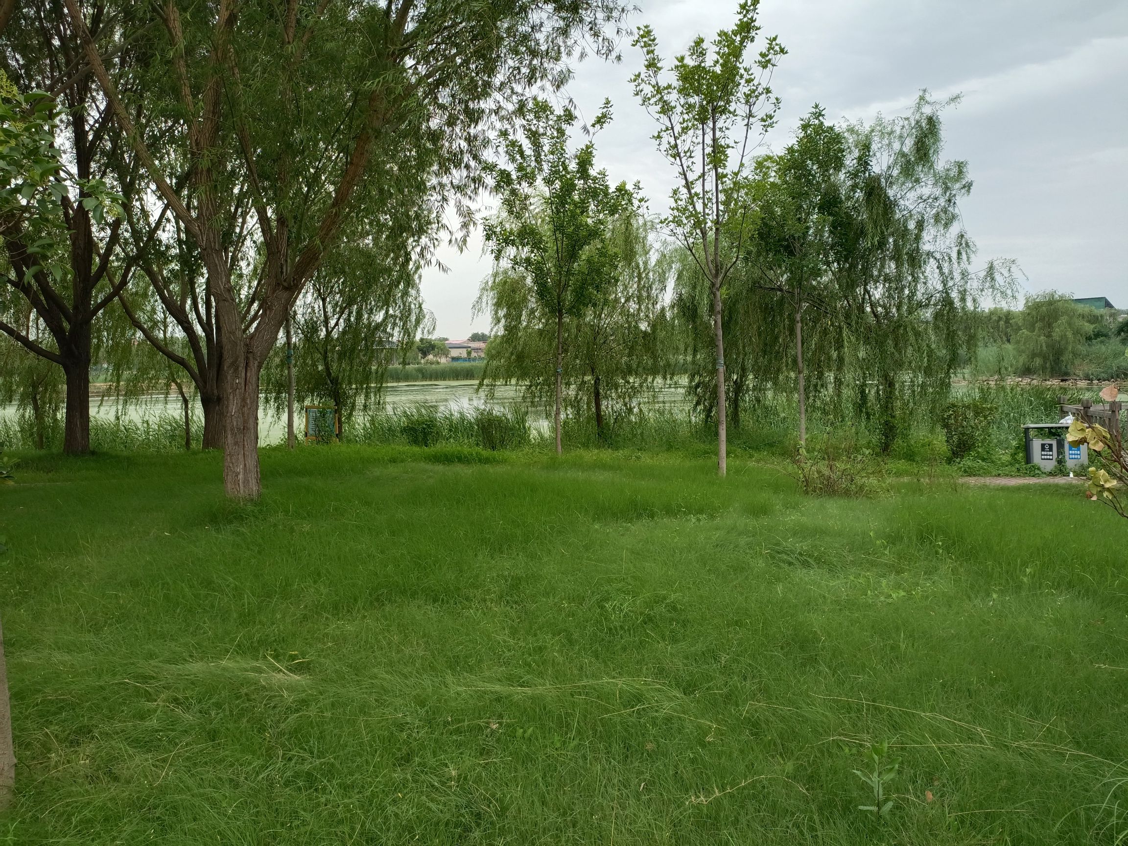 月爱湖公园旅行图片 3