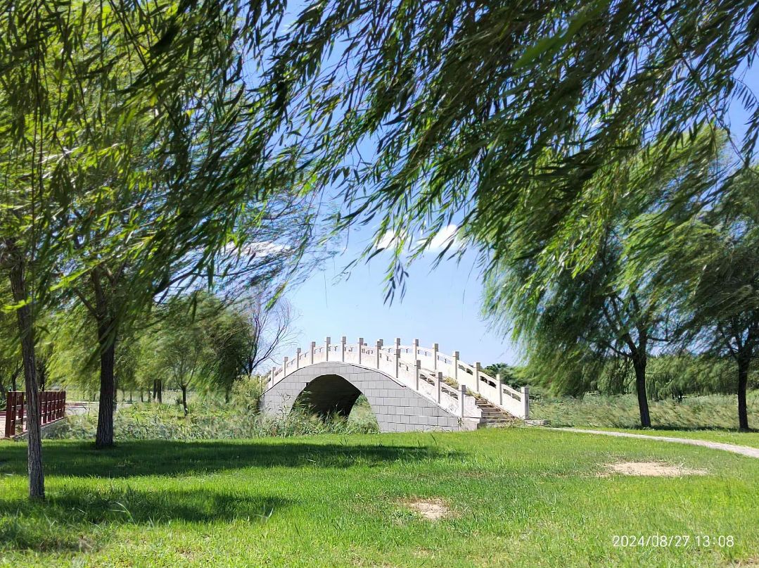 月爱湖公园旅行图片 1