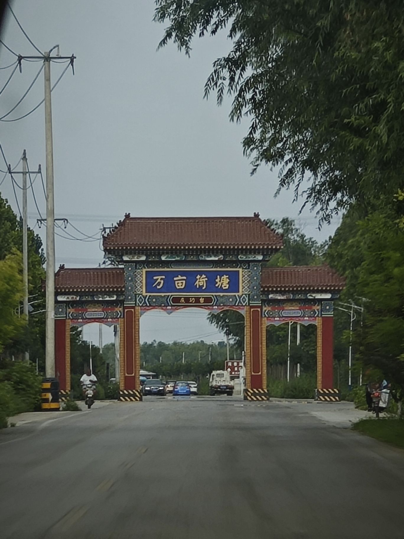 万亩荷塘旅行图片 1