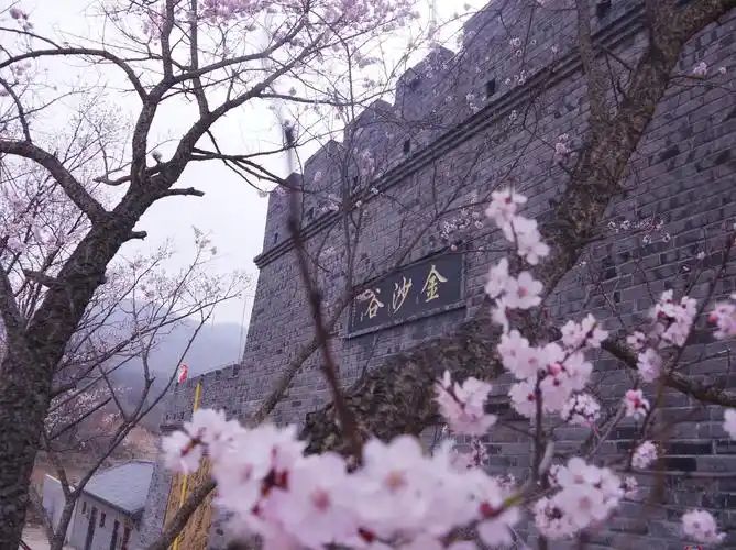 丹东金沙谷生态文化旅游风景区旅行图片 1