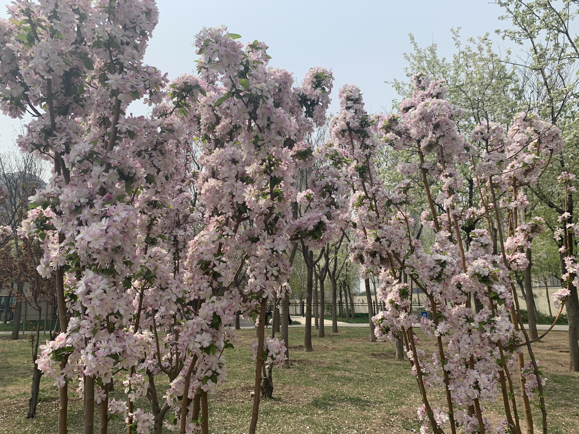 太湖路公园旅行图片 1