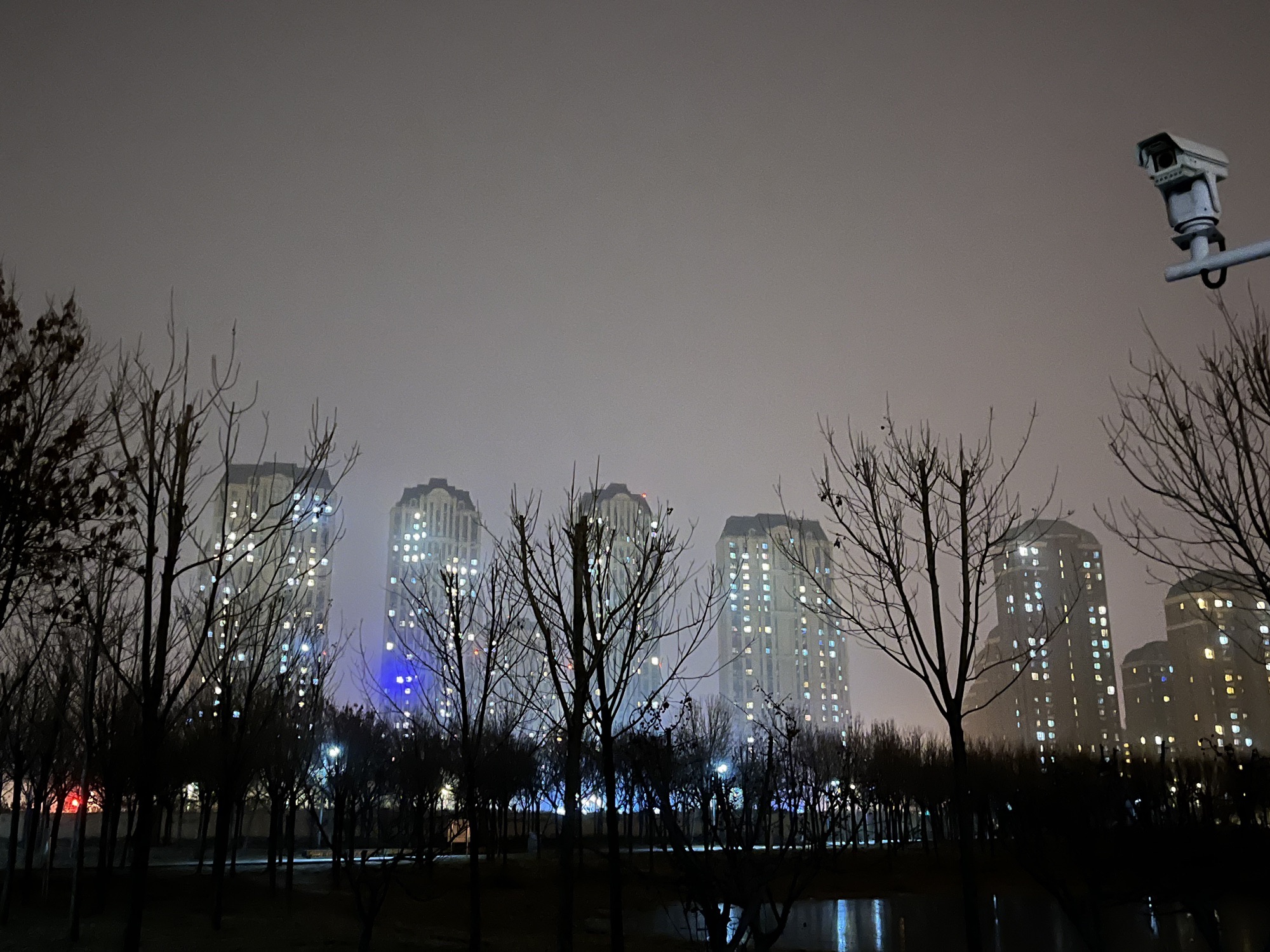 太湖路公园旅行图片 3