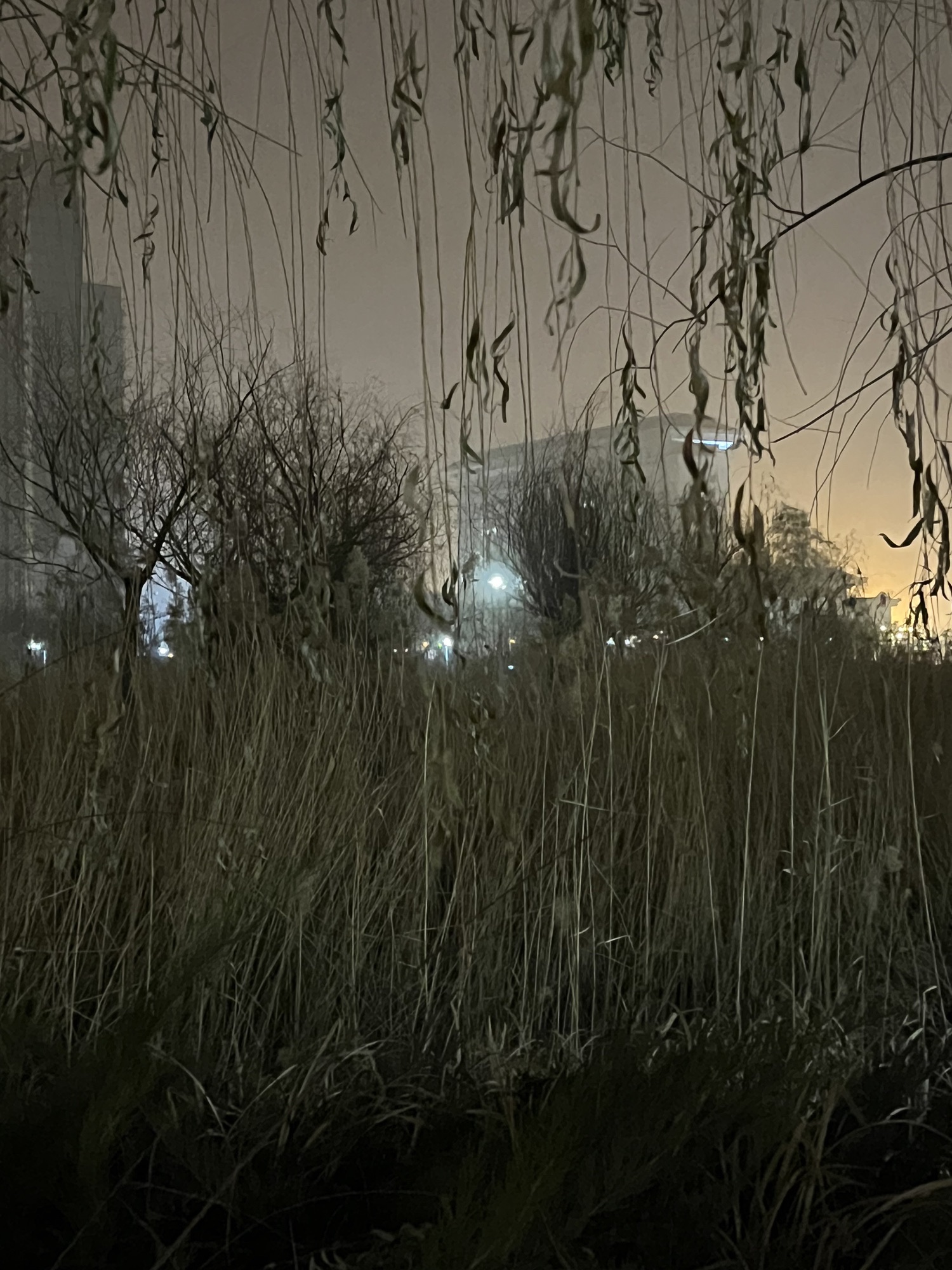太湖路公园旅行图片 1