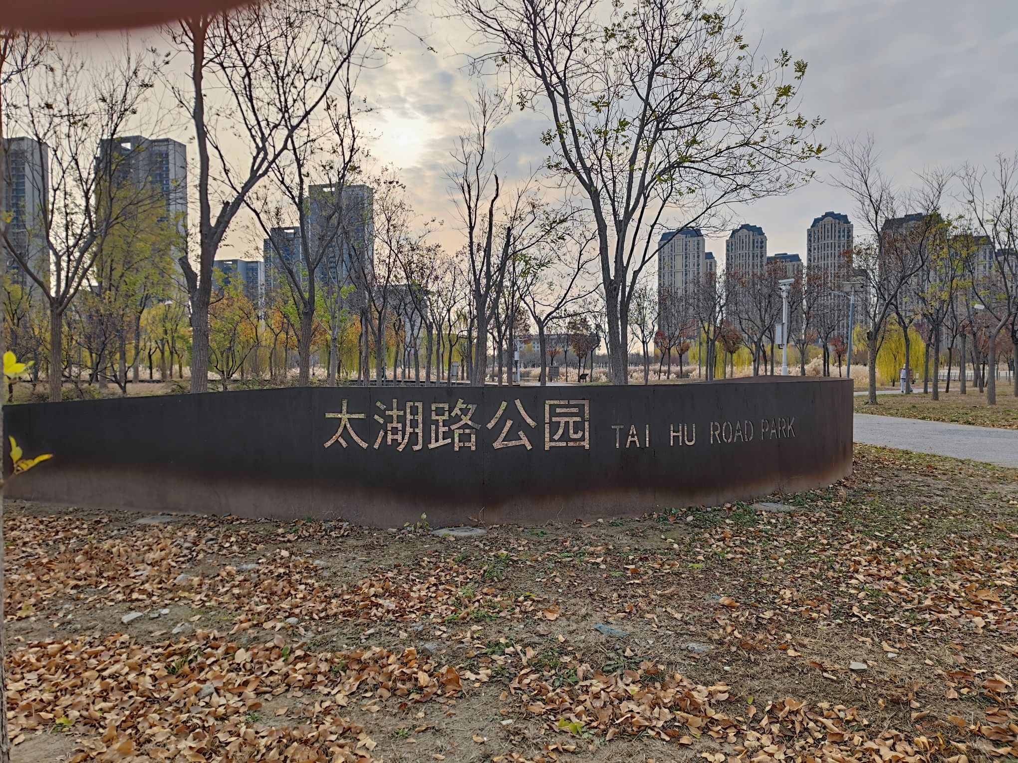 太湖路公园旅行图片 1