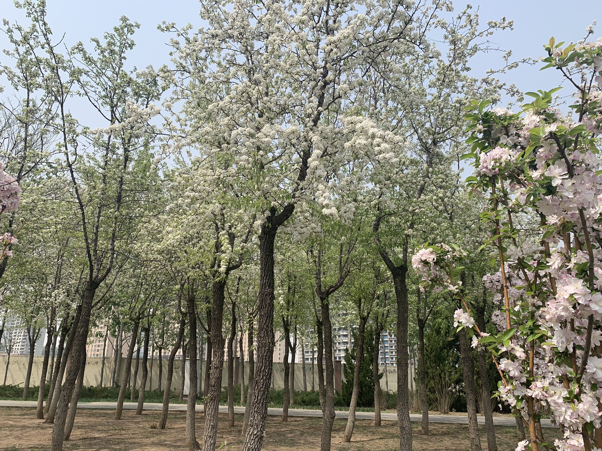 太湖路公园旅行图片 3