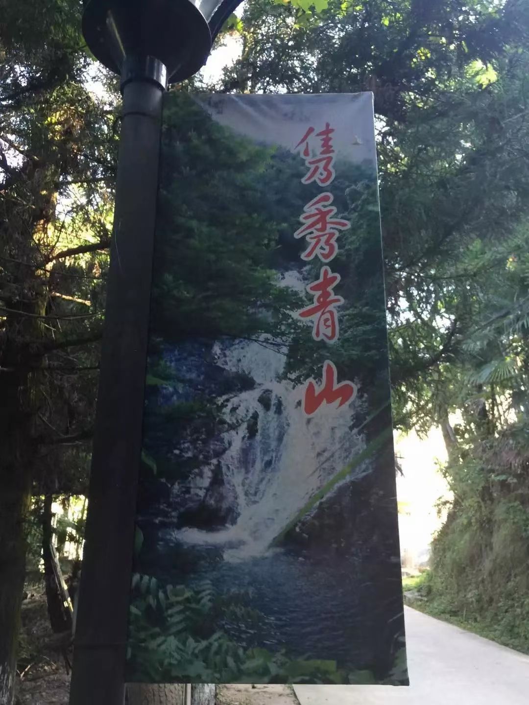 青山森林公园