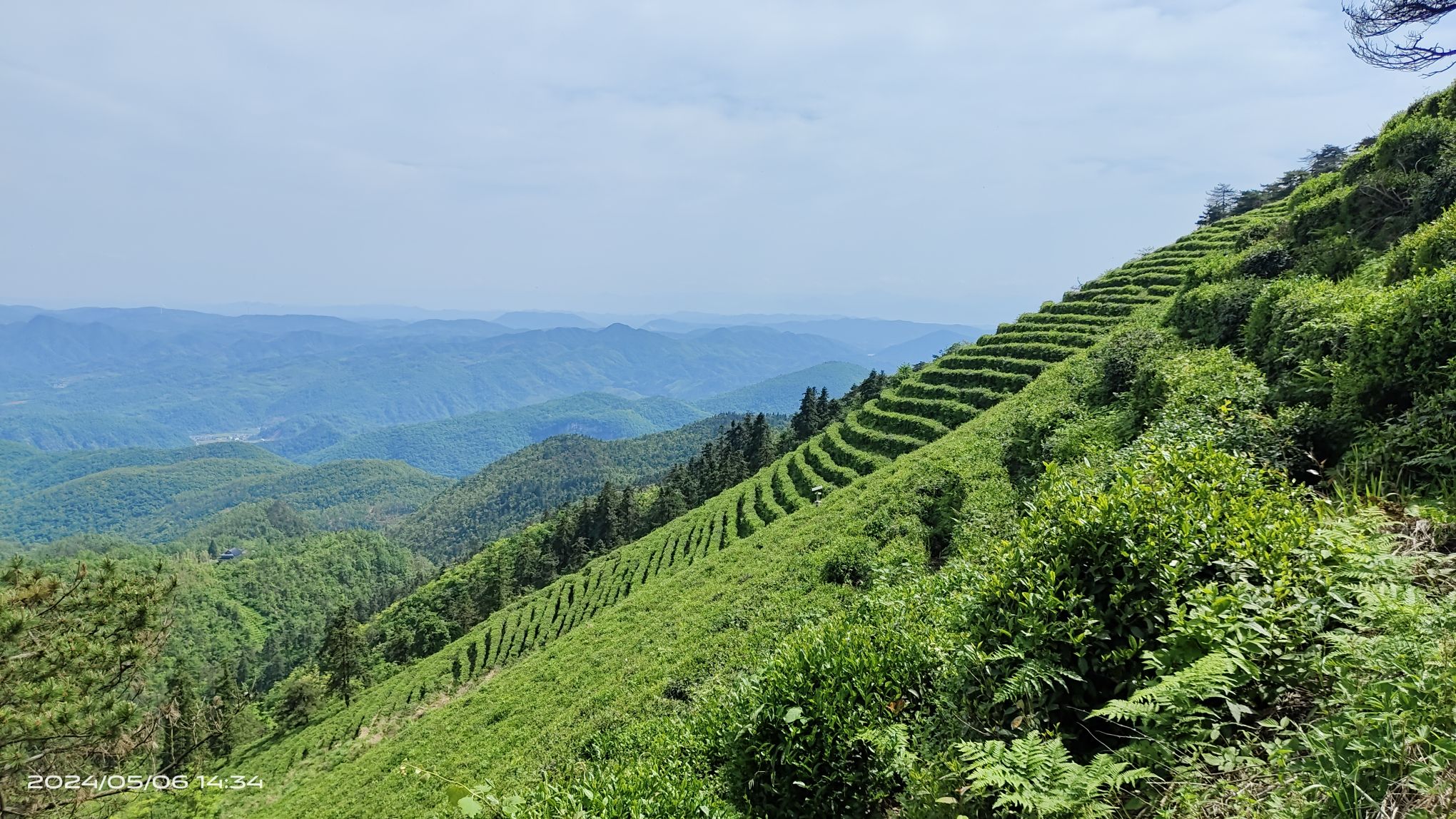 青山森林公园旅行图片 3