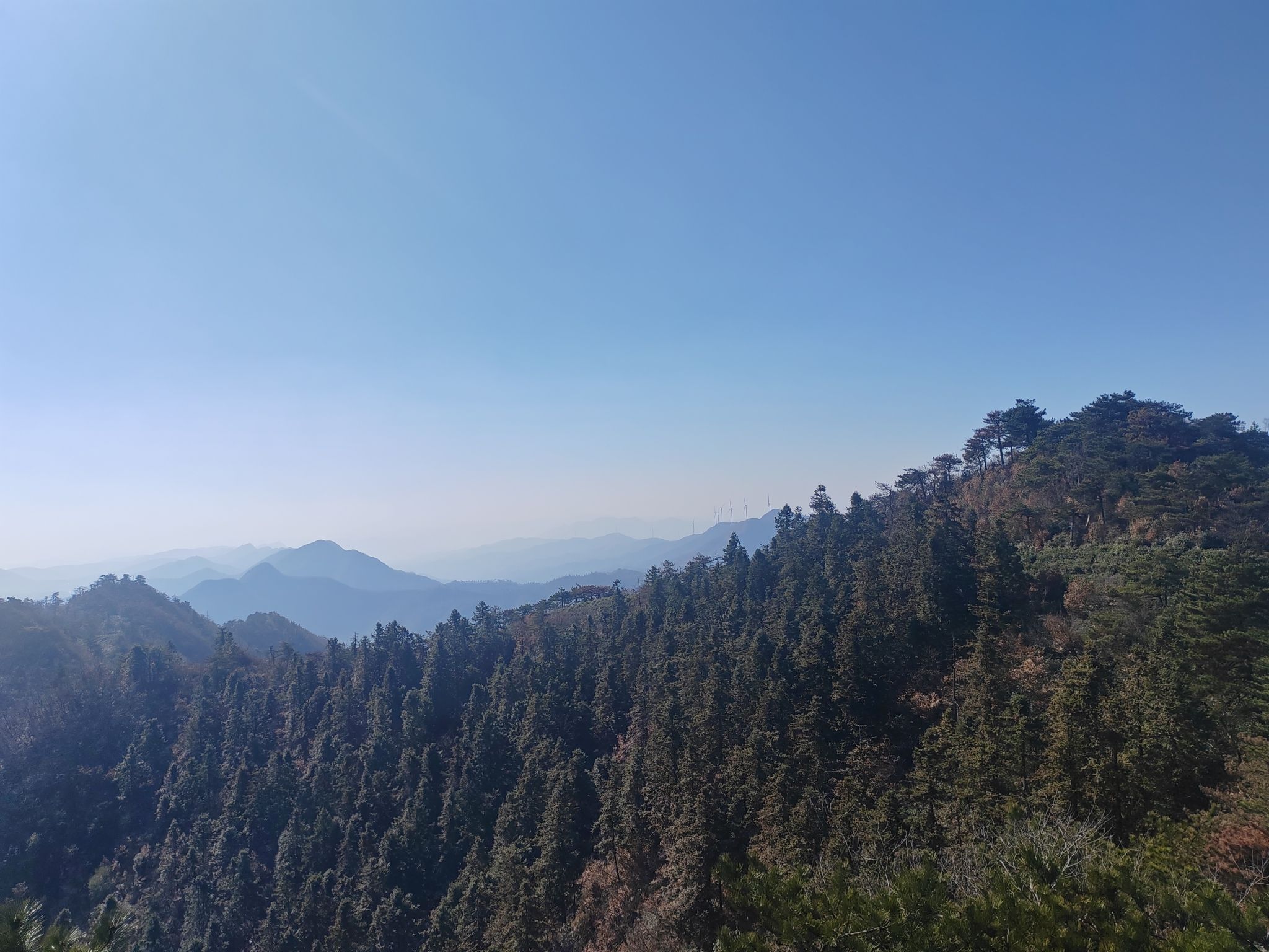 青山森林公园旅行图片 3