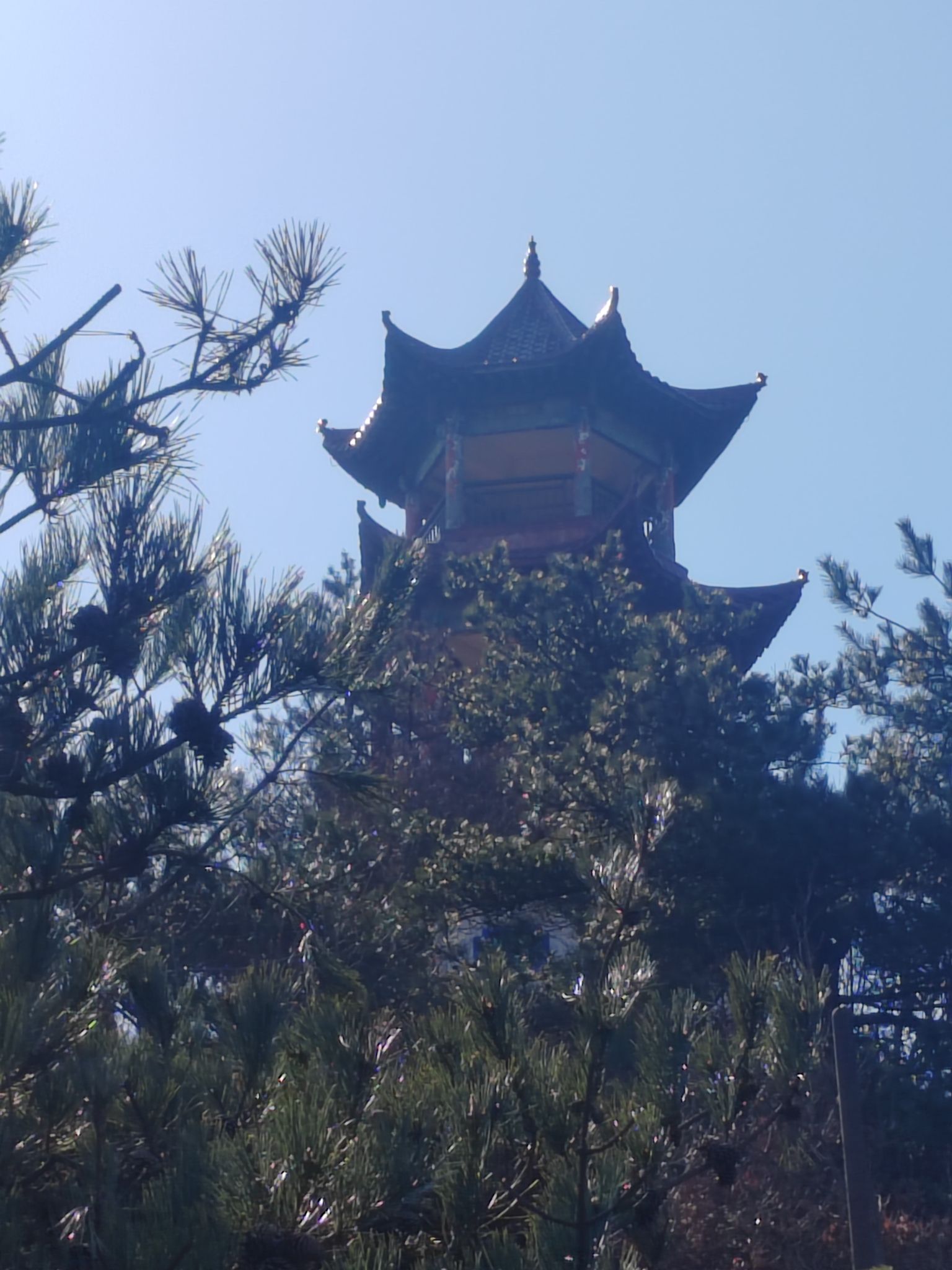 青山森林公园旅行图片 2