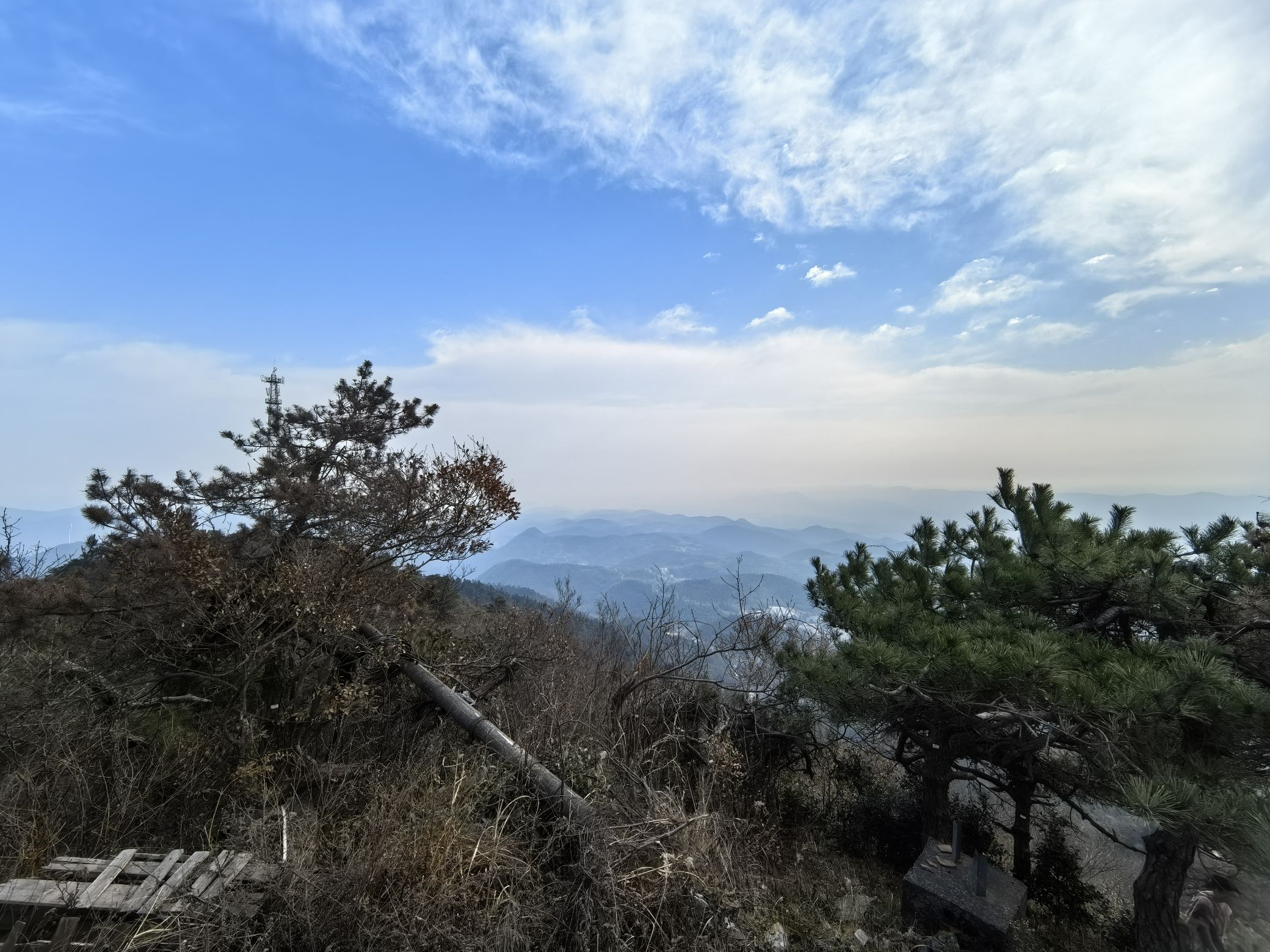 青山森林公园旅行图片 3