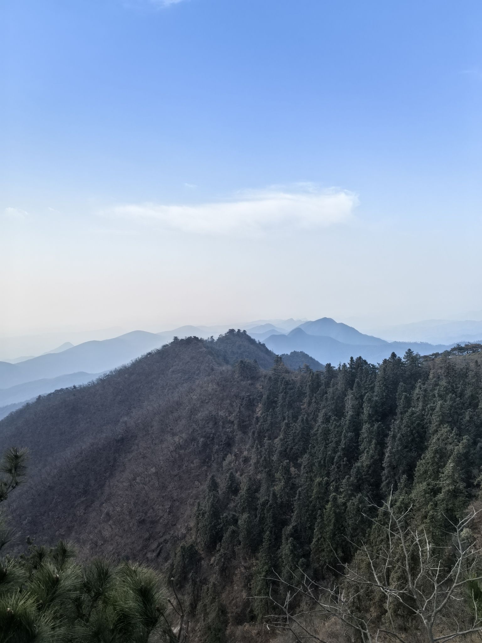 青山森林公园旅行图片 2