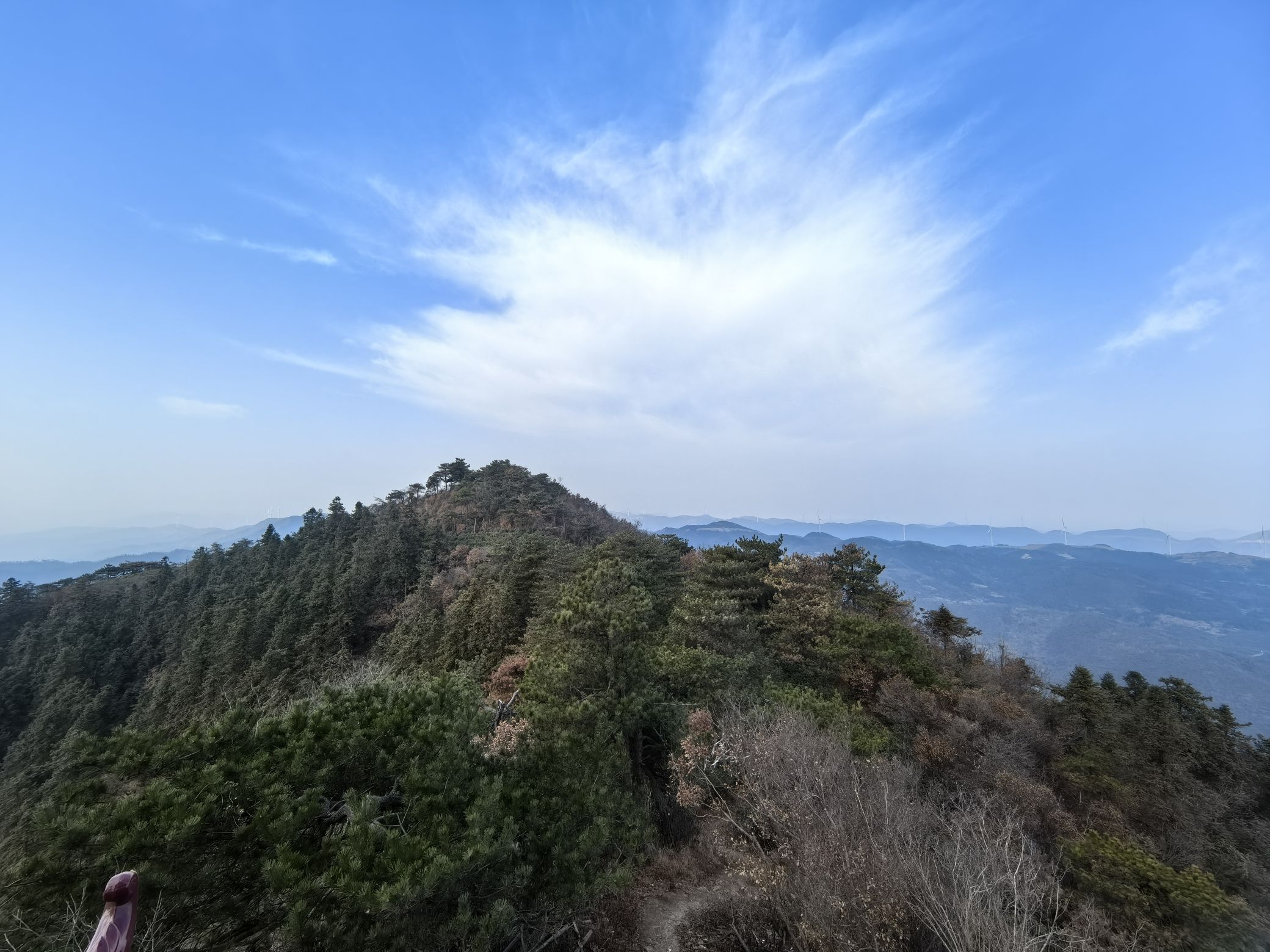 青山森林公园旅行图片 1