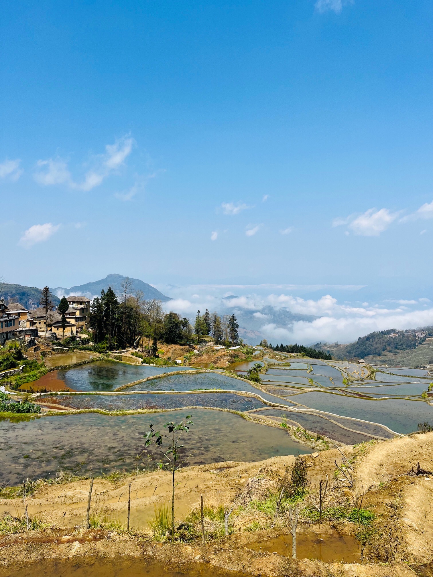 元阳梯田景区