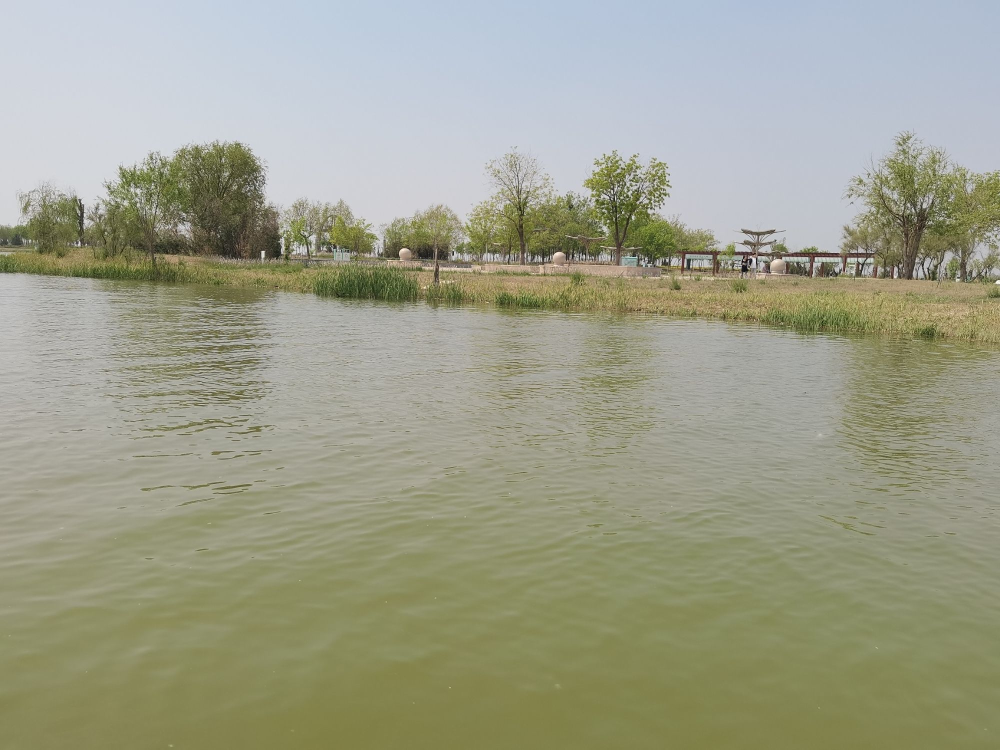 衡水湖湿地公园旅行图片 1