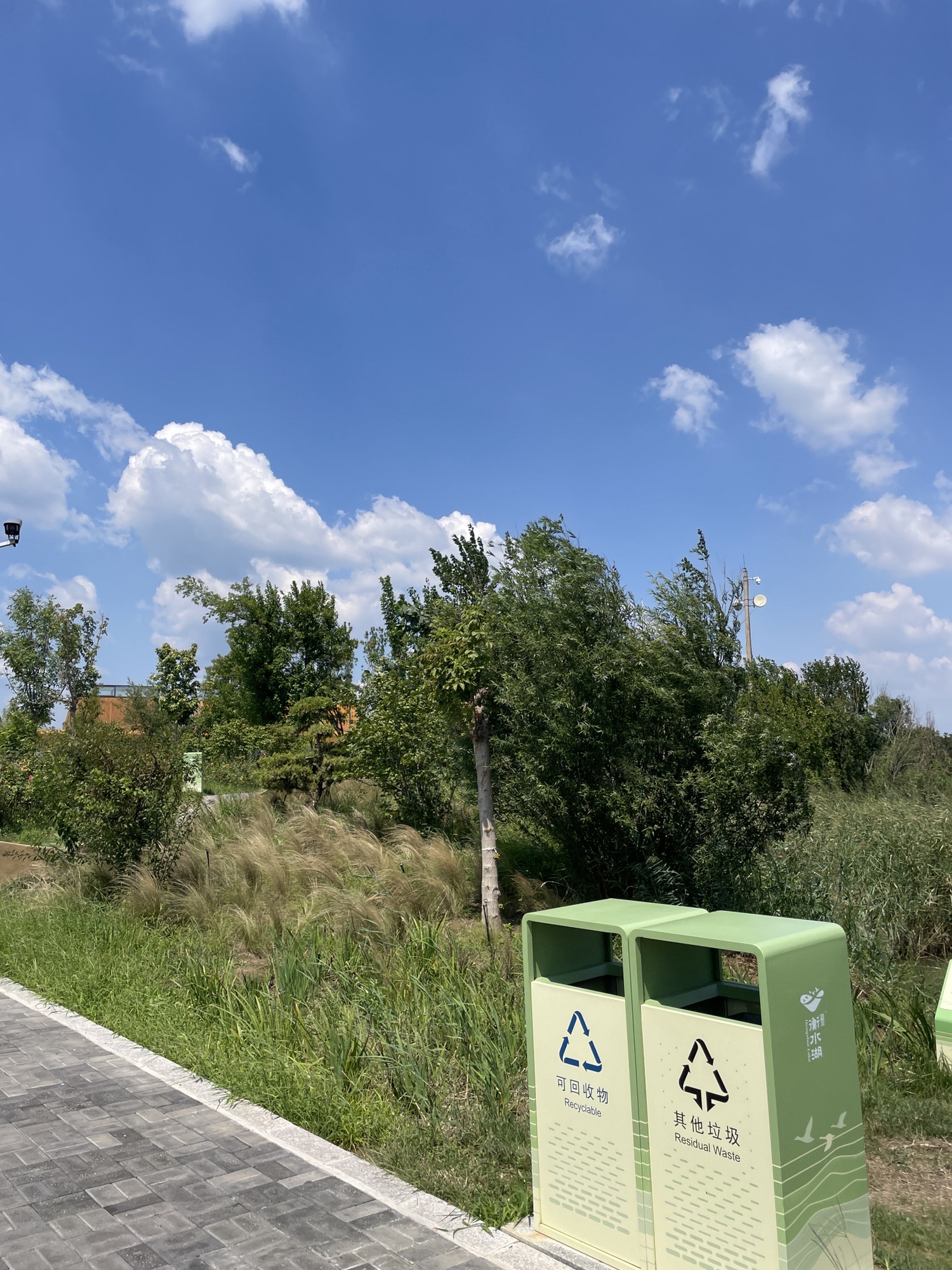 衡水湖湿地公园旅行图片 3