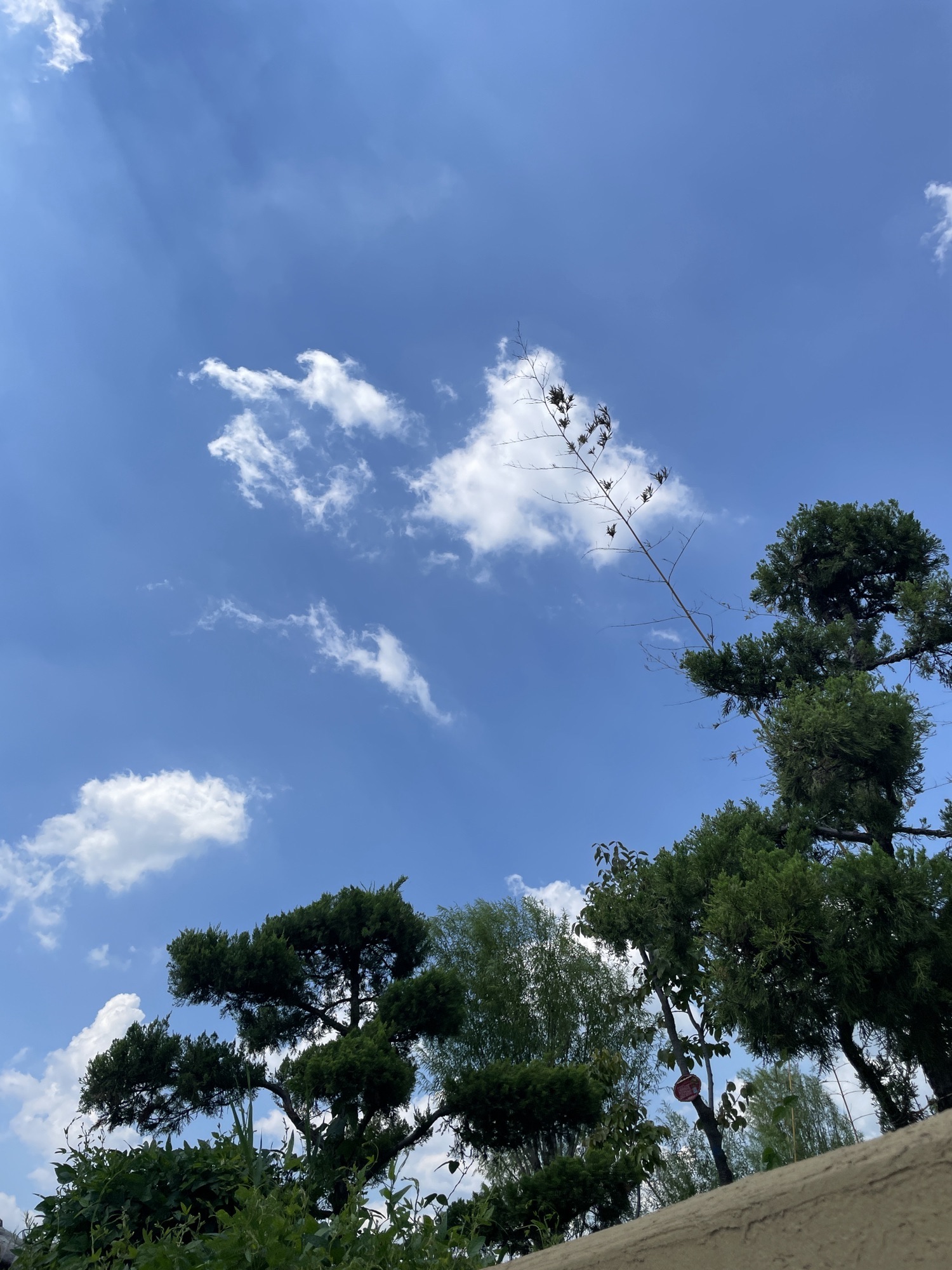 衡水湖湿地公园旅行图片 2