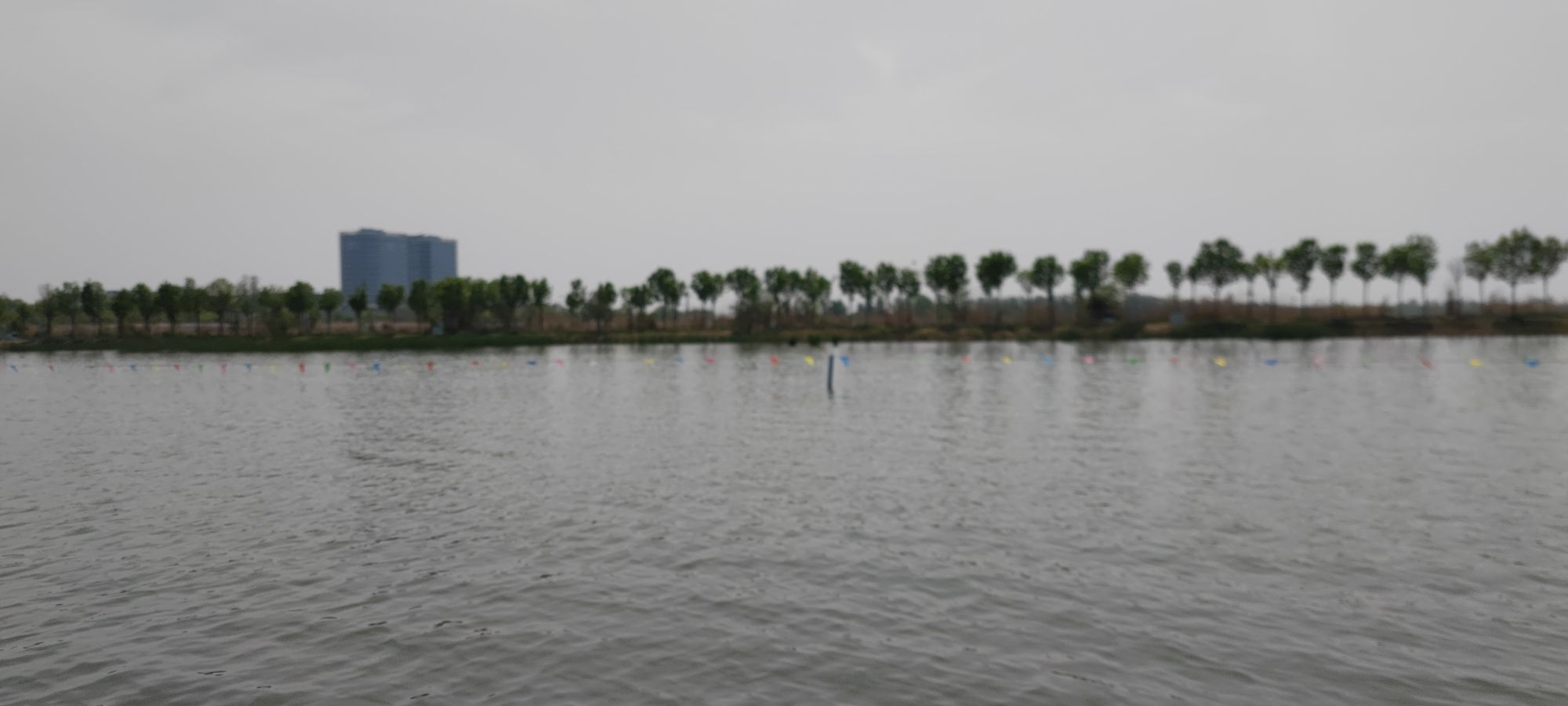 衡水湖湿地公园旅行图片 1