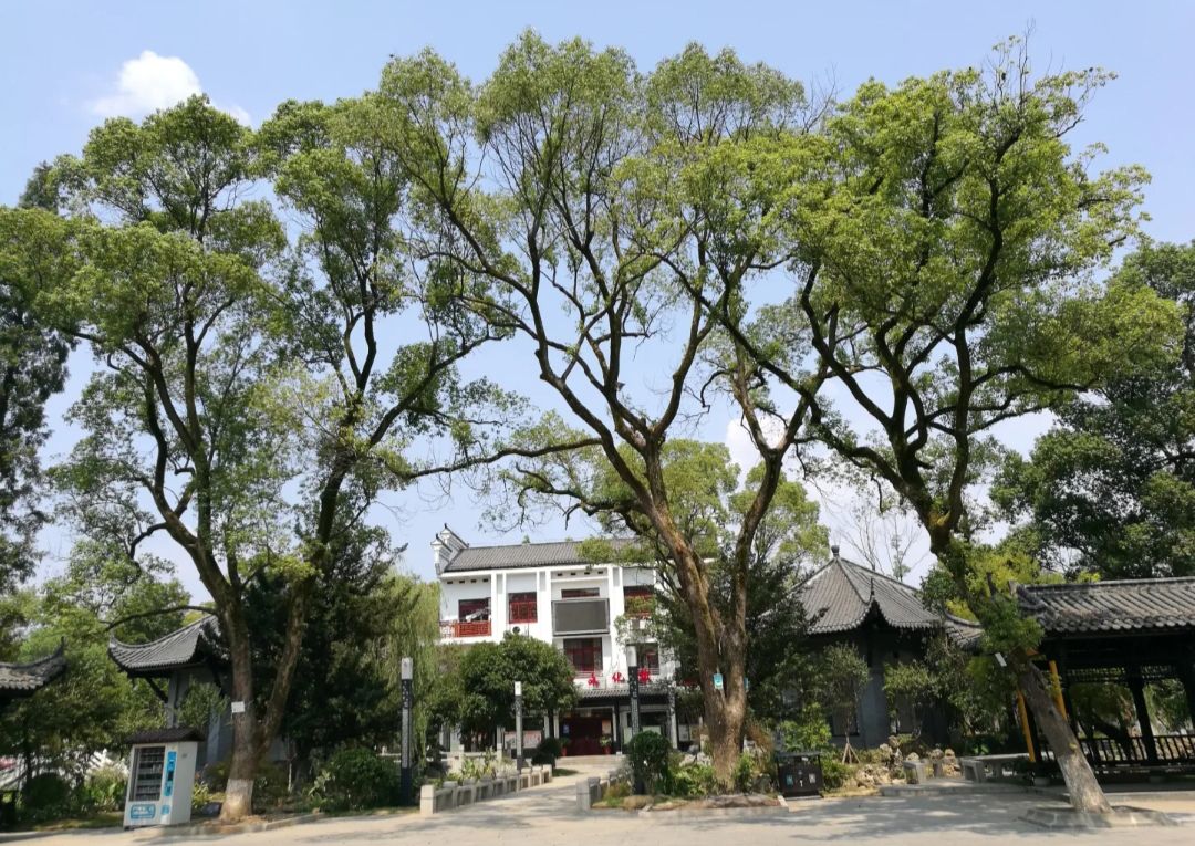 状元洲文化公园旅行图片 1