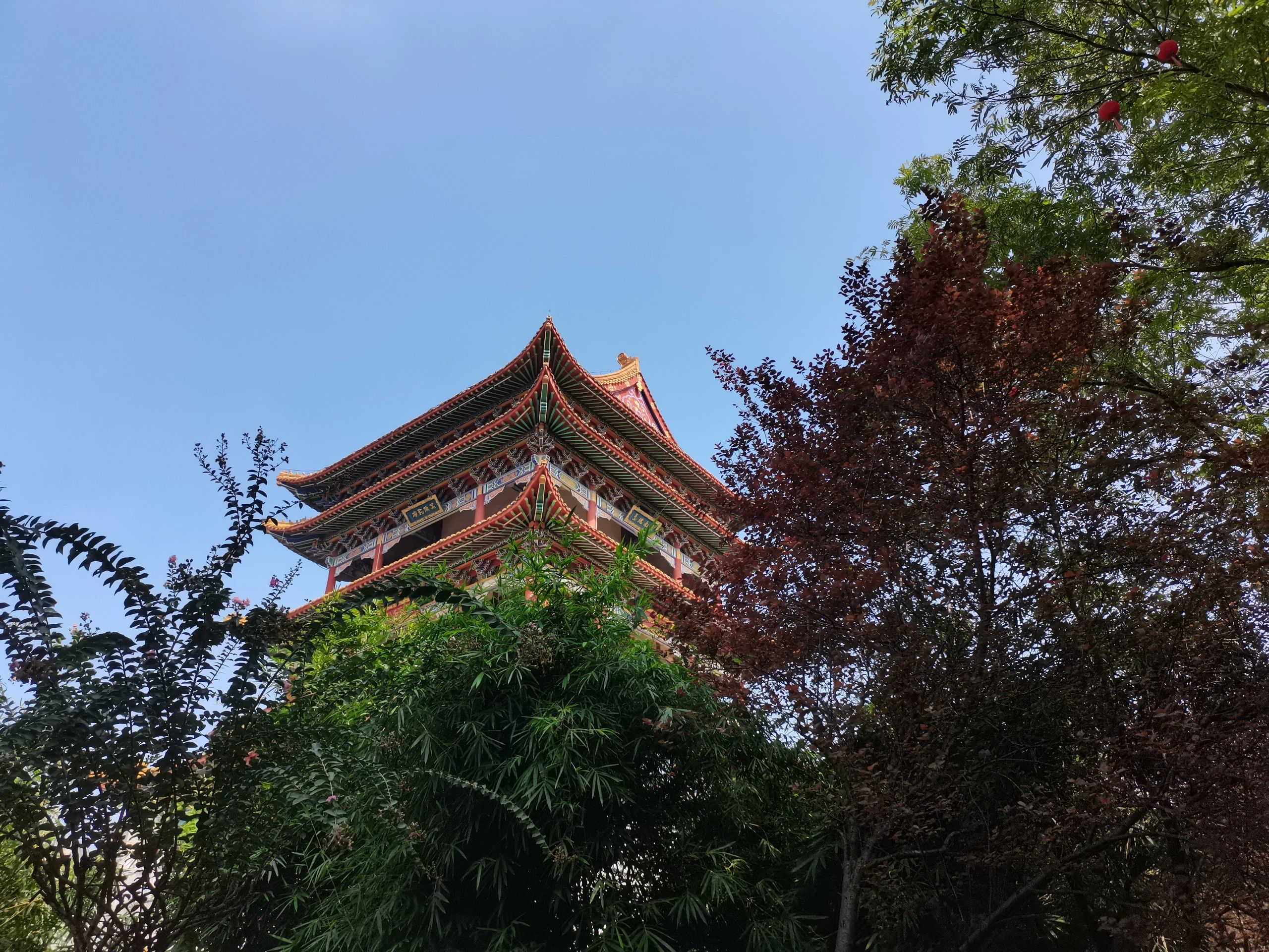 状元洲文化公园旅行图片 3