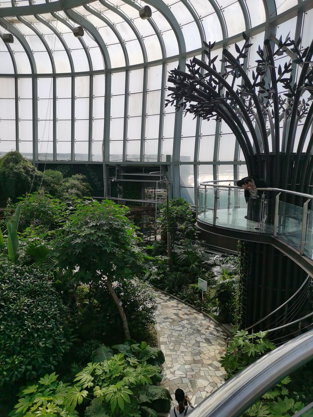 绥滨农场龙府热带植物园区旅行图片 2