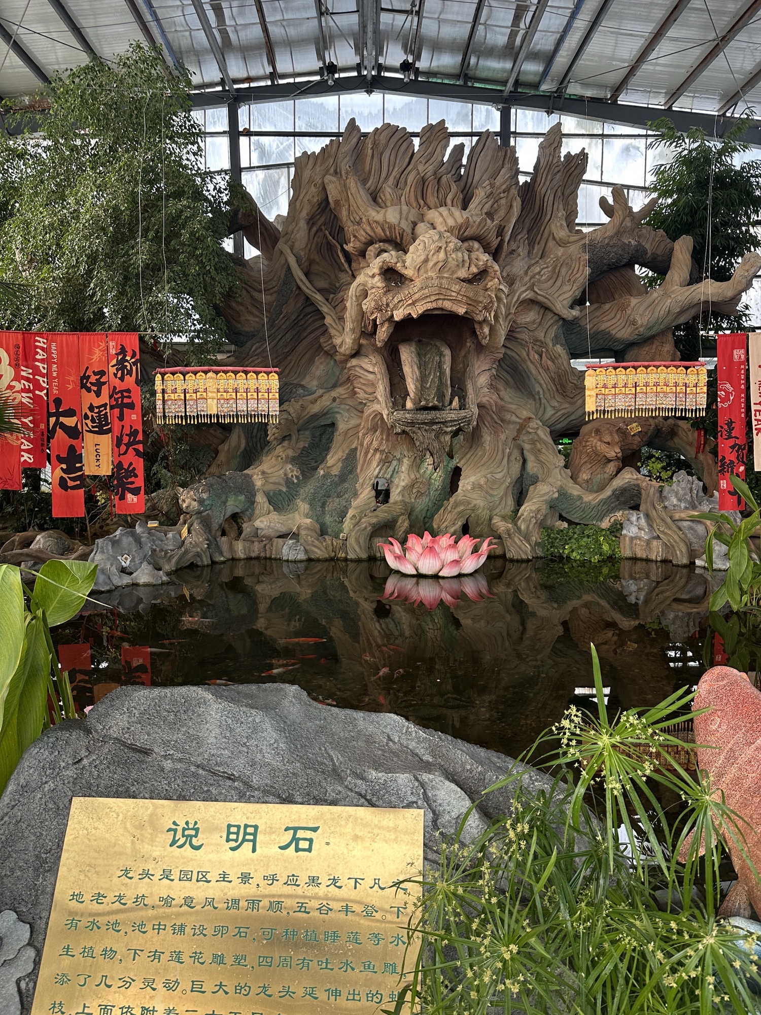 绥滨农场龙府热带植物园区旅行图片 3