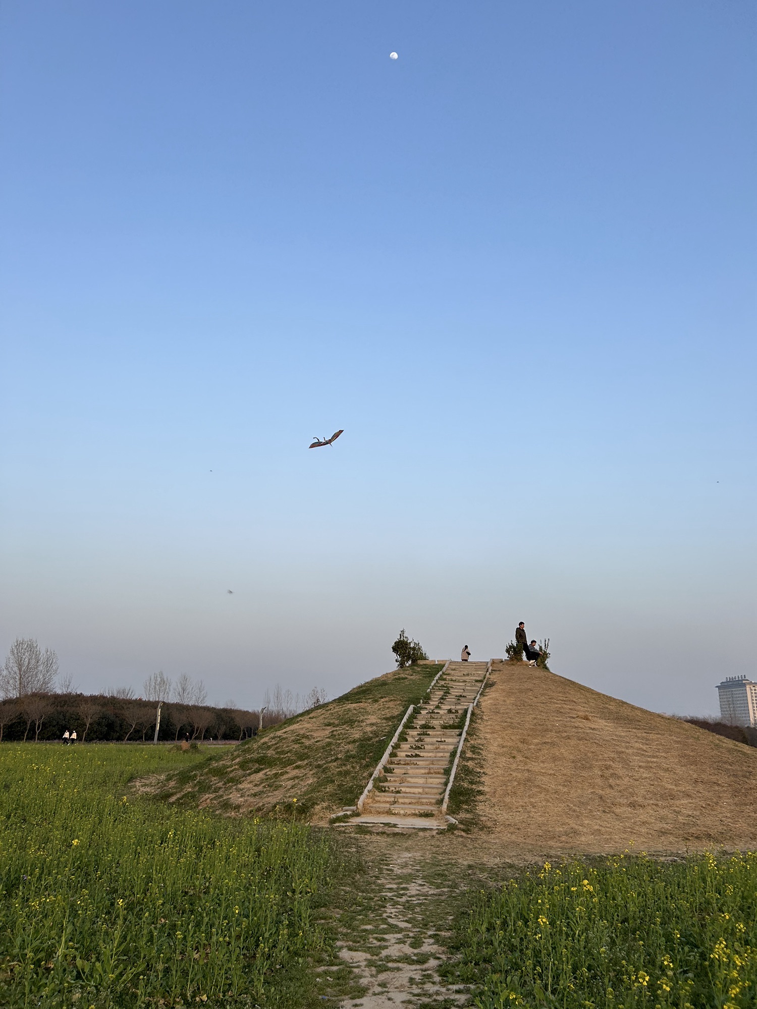 贾湖文化广场旅行图片 3