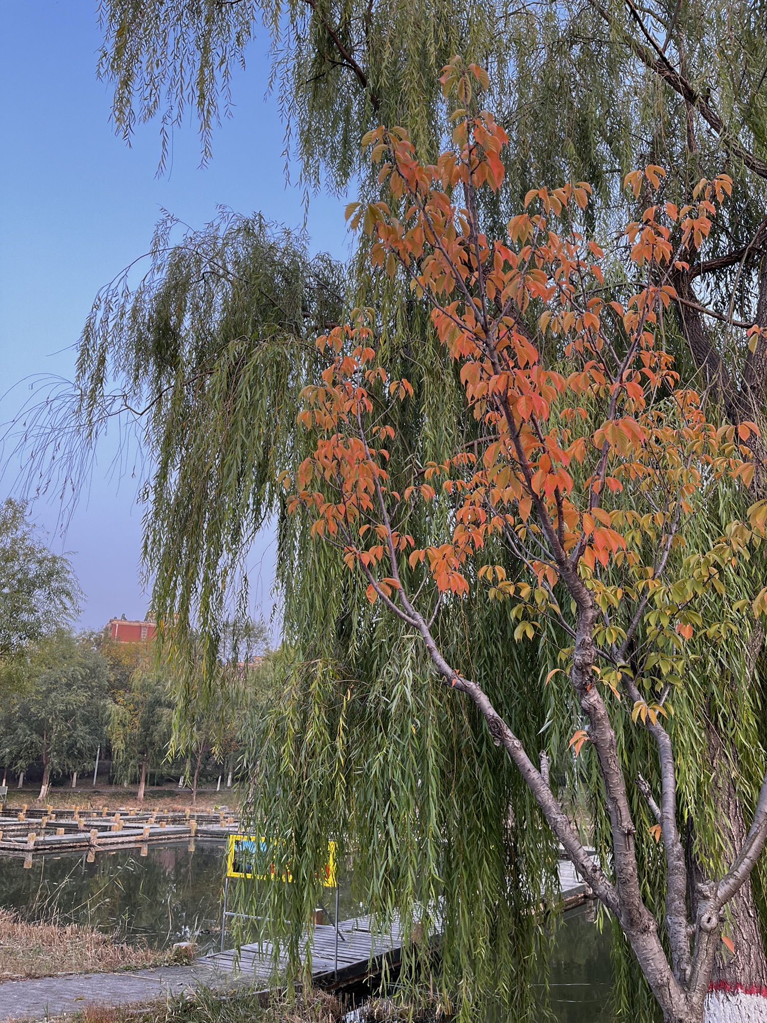 北寺公园旅行图片 1