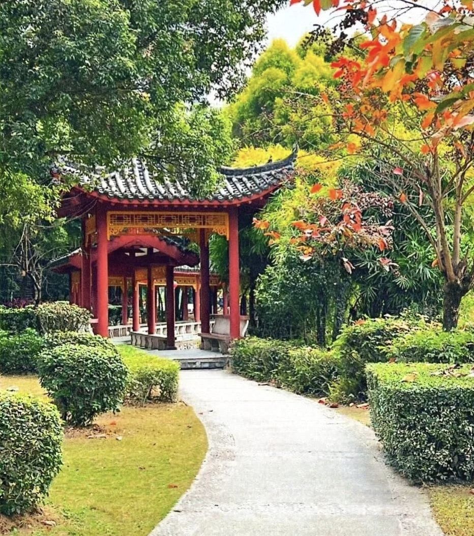 西湖公园旅行图片 2