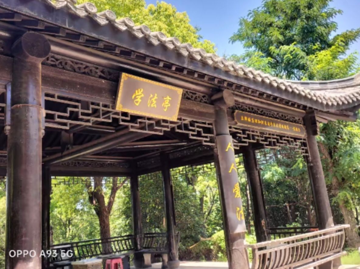 白云山公园旅行图片 3