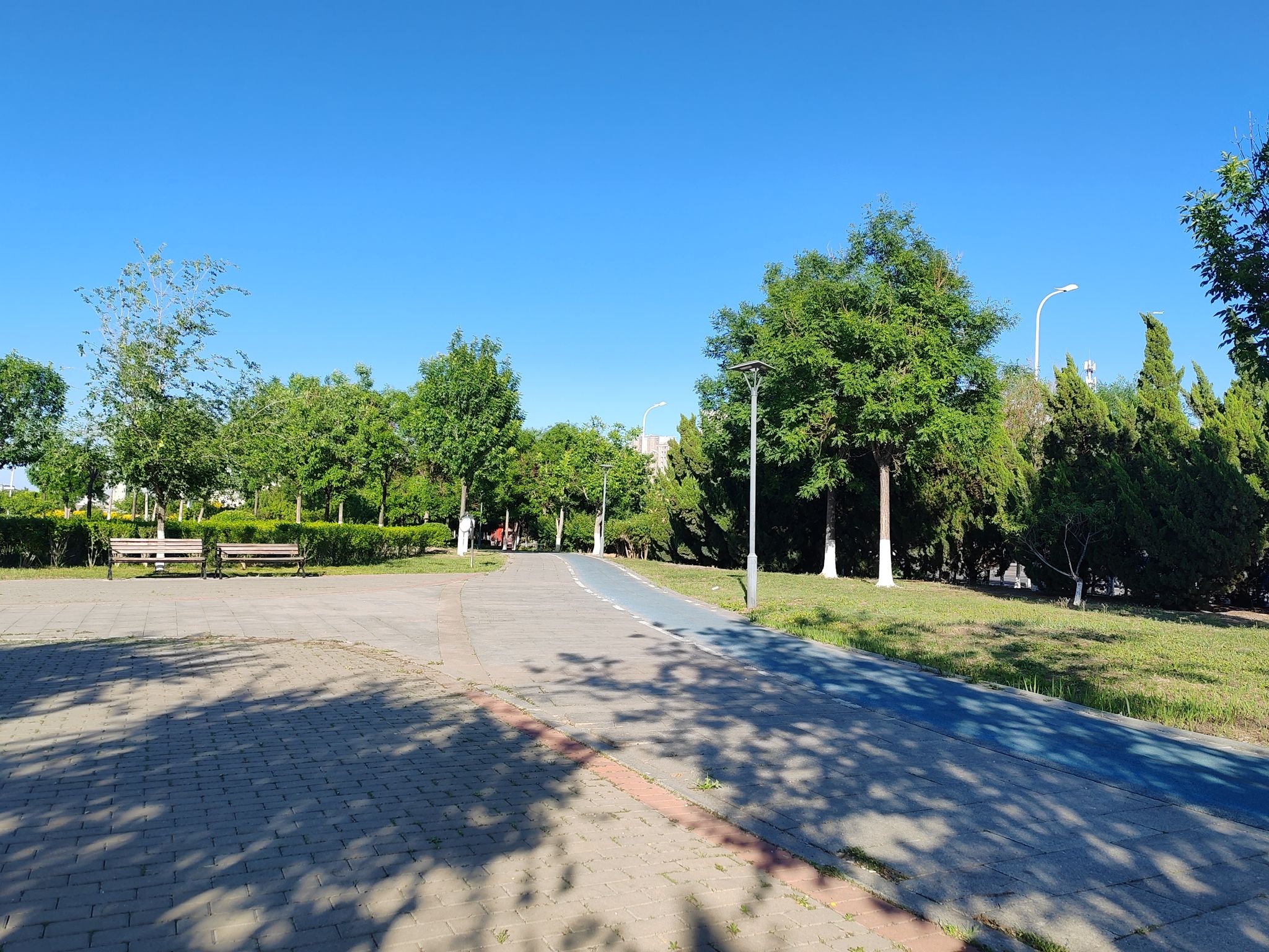 小站古镇旅行图片 3