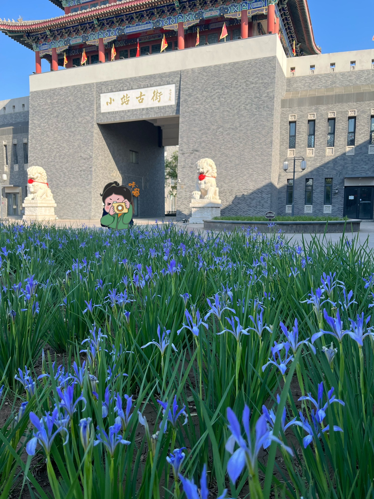 小站古镇旅行图片 2