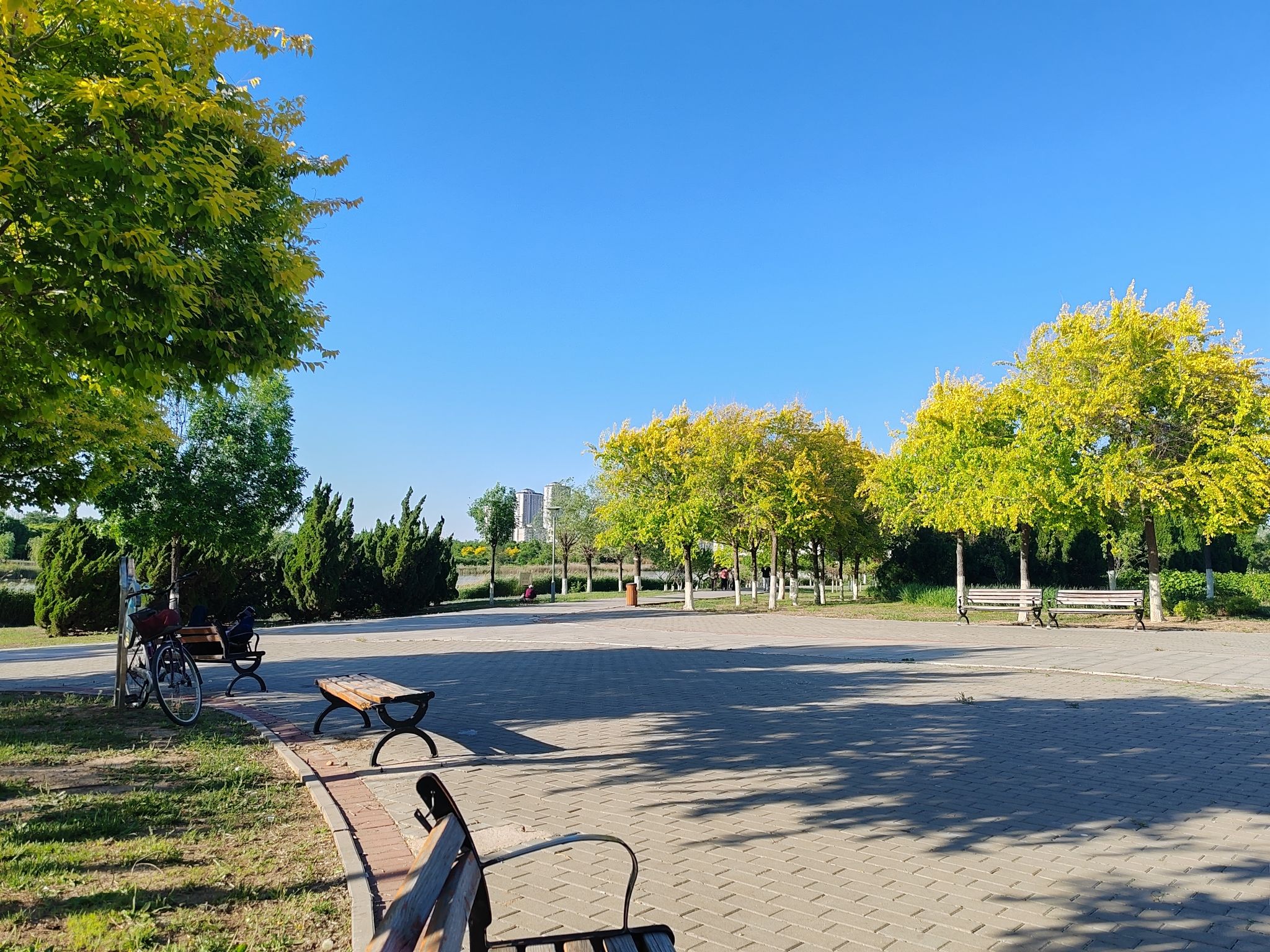 小站古镇旅行图片 2