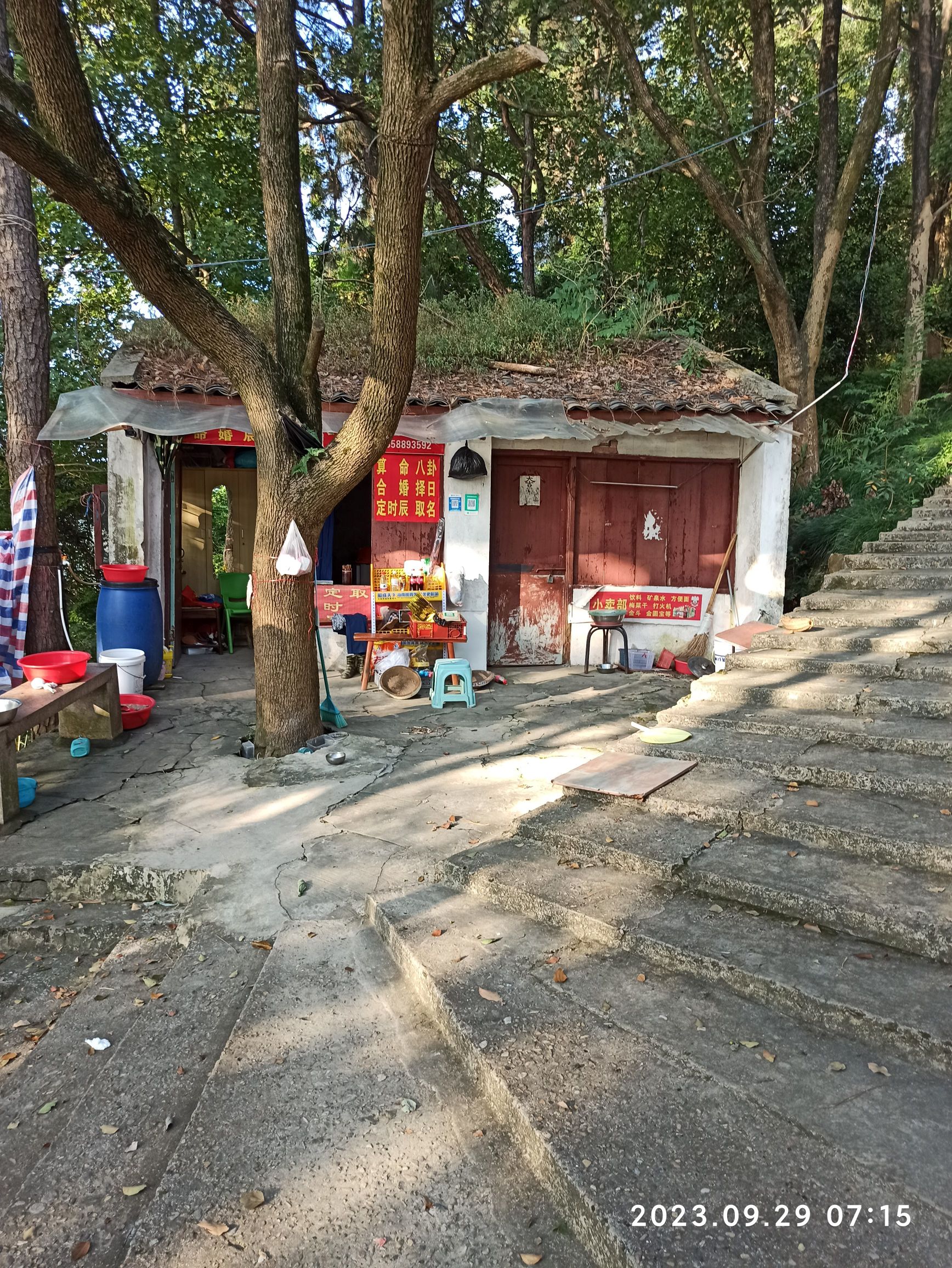 洞桥山公园旅行图片 3