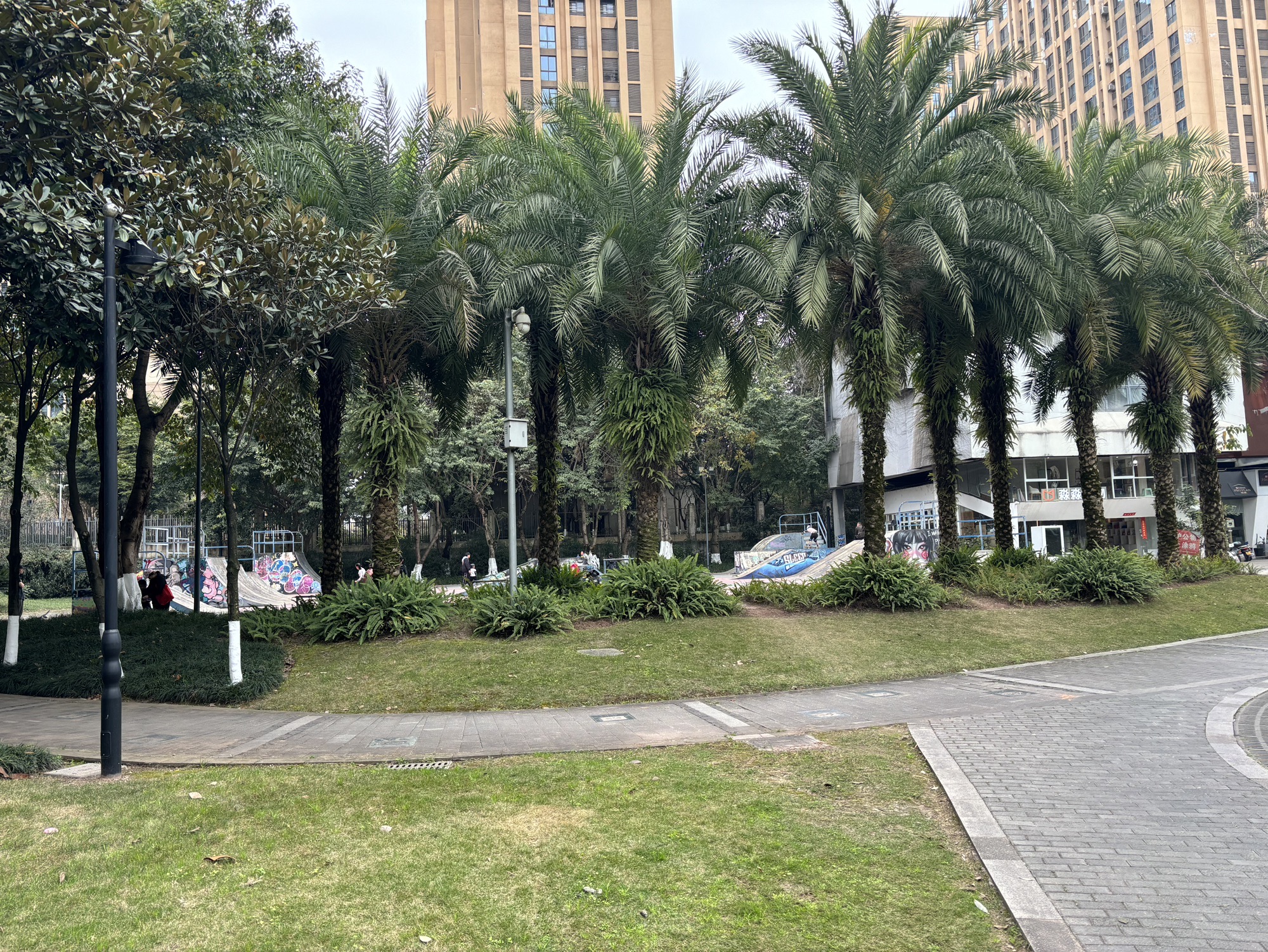 大学城滑板公园旅行图片 1
