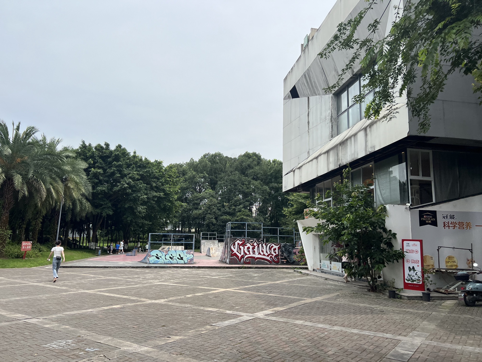 大学城滑板公园旅行图片 2