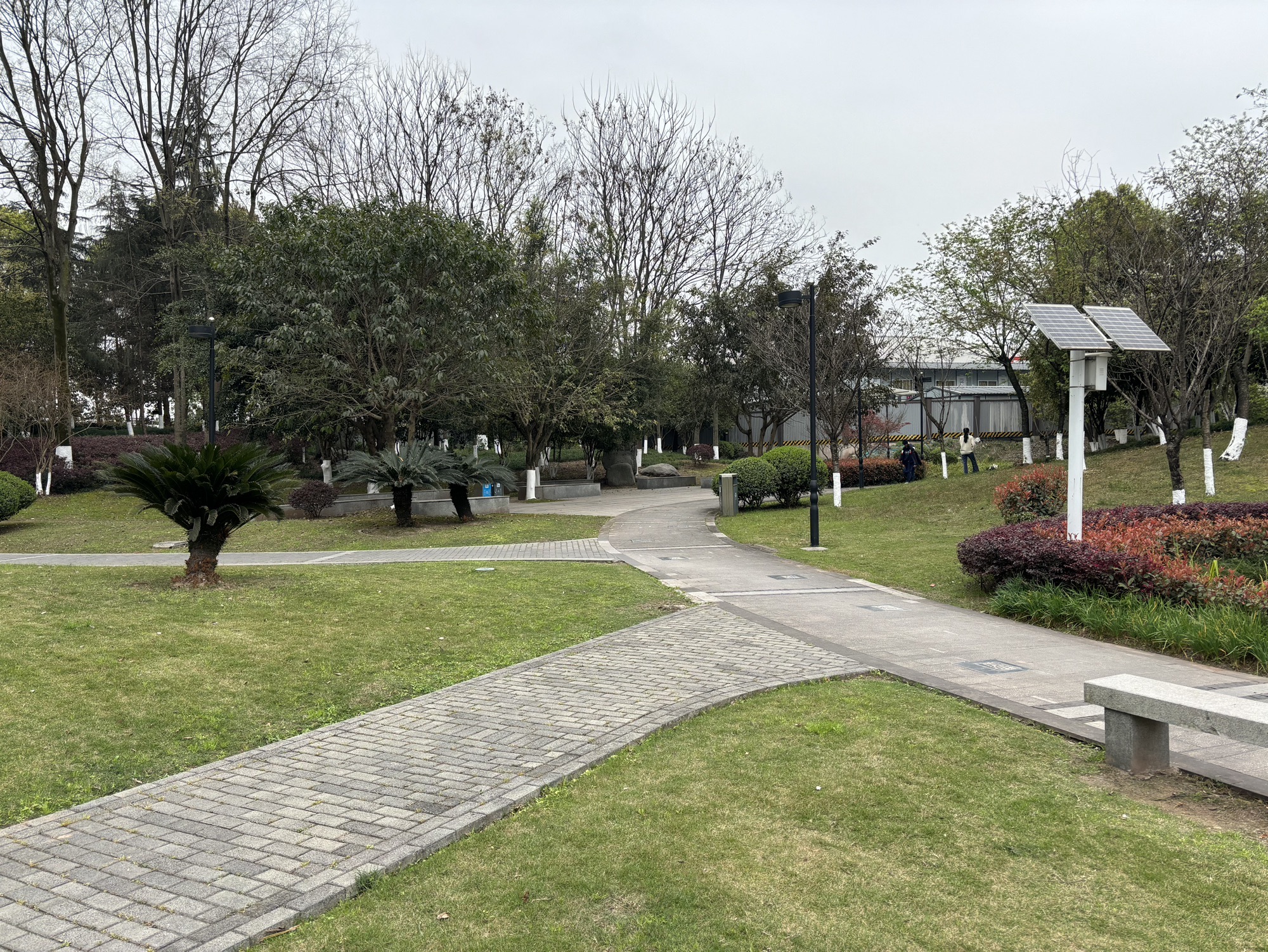 大学城滑板公园旅行图片 3