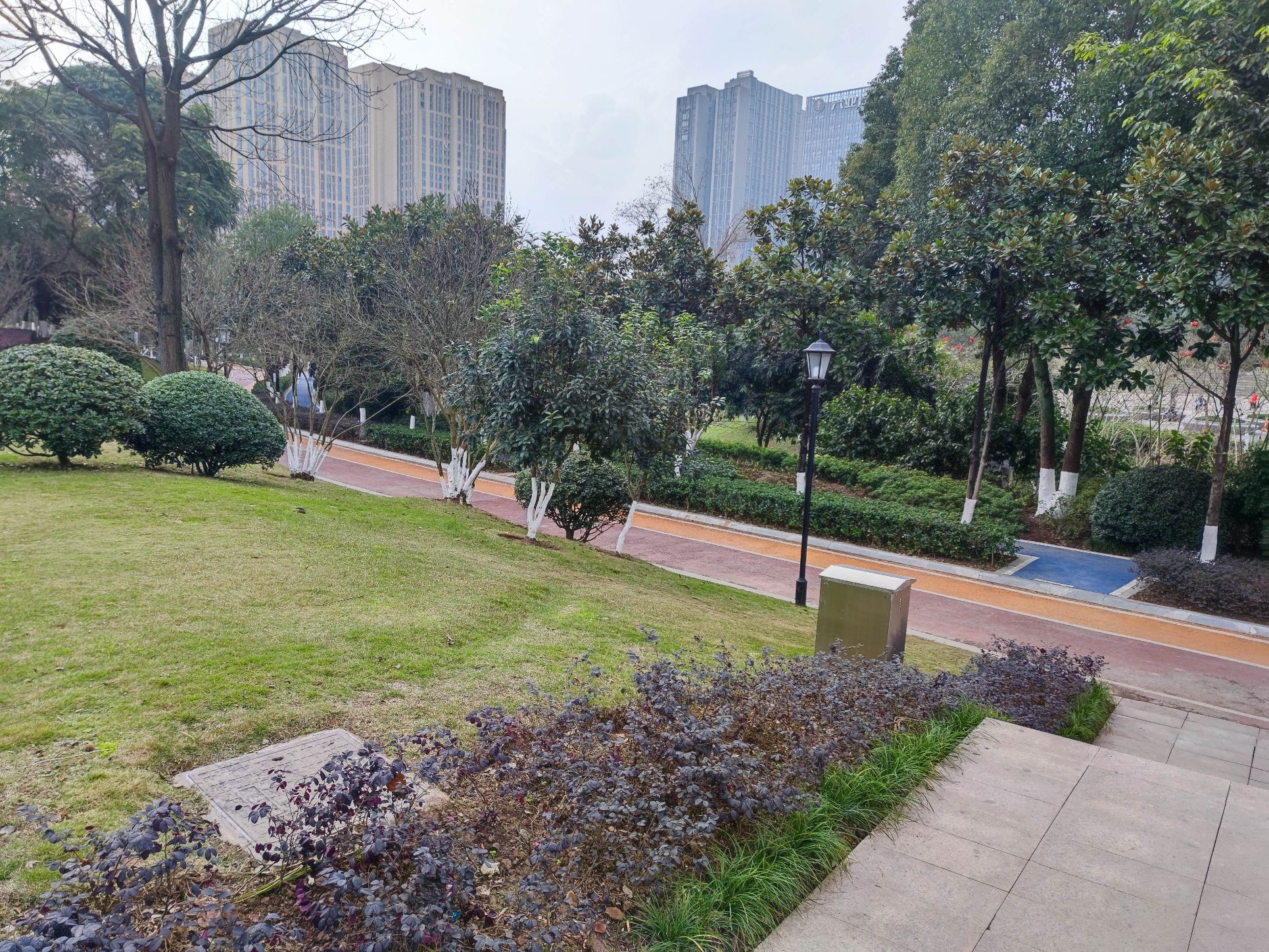 大学城滑板公园旅行图片 3