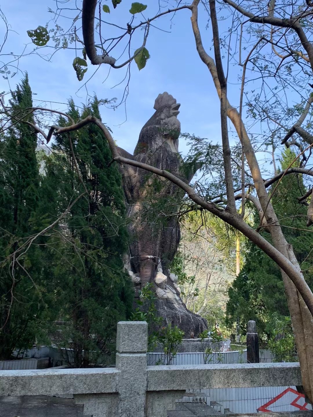 五华天云岭森林公园旅行图片 2