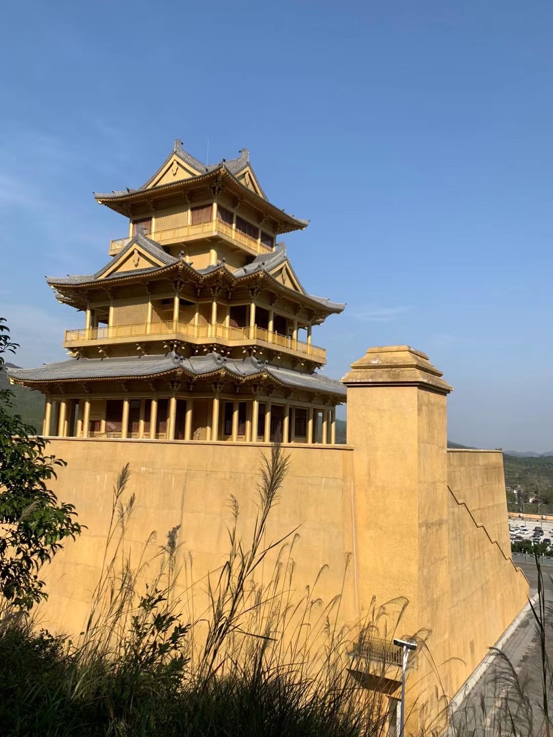 五华天云岭森林公园旅行图片 1