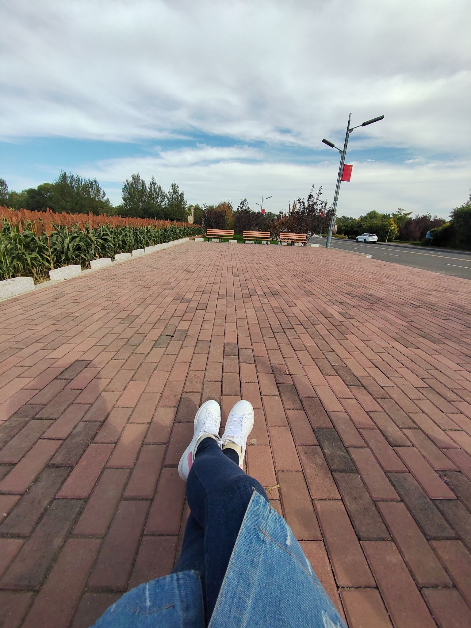 新华农场水上公园旅行图片