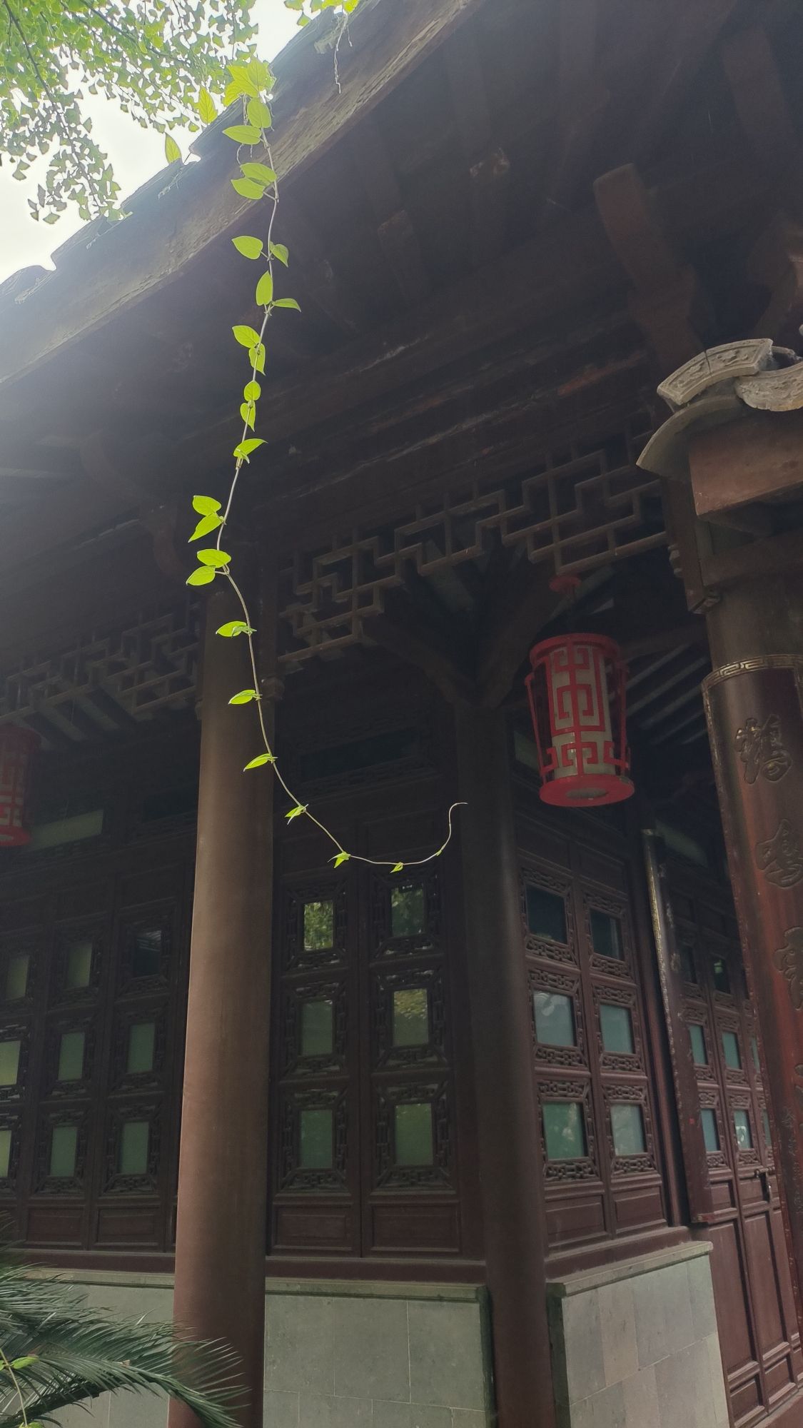 紫微园旅行图片 2