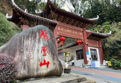 凤凰山森林公园